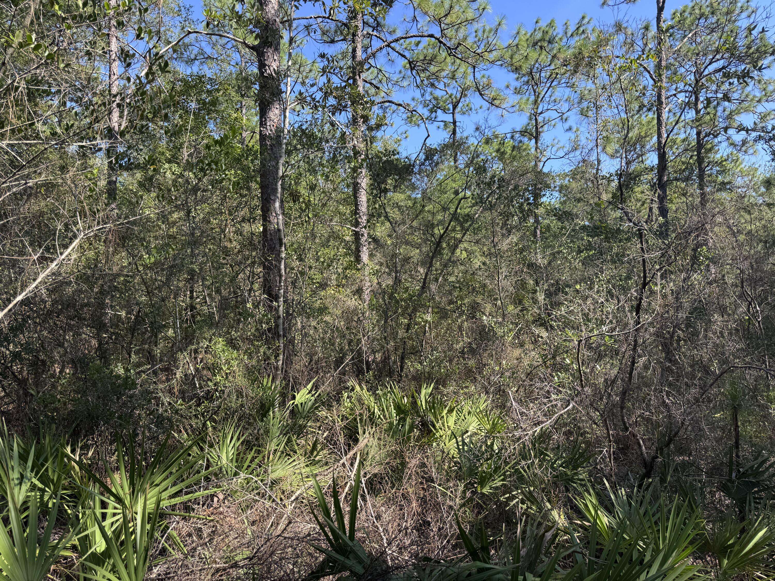 Defuniak Springs, FL 32433,Lot 9 Red Mulberry Lane