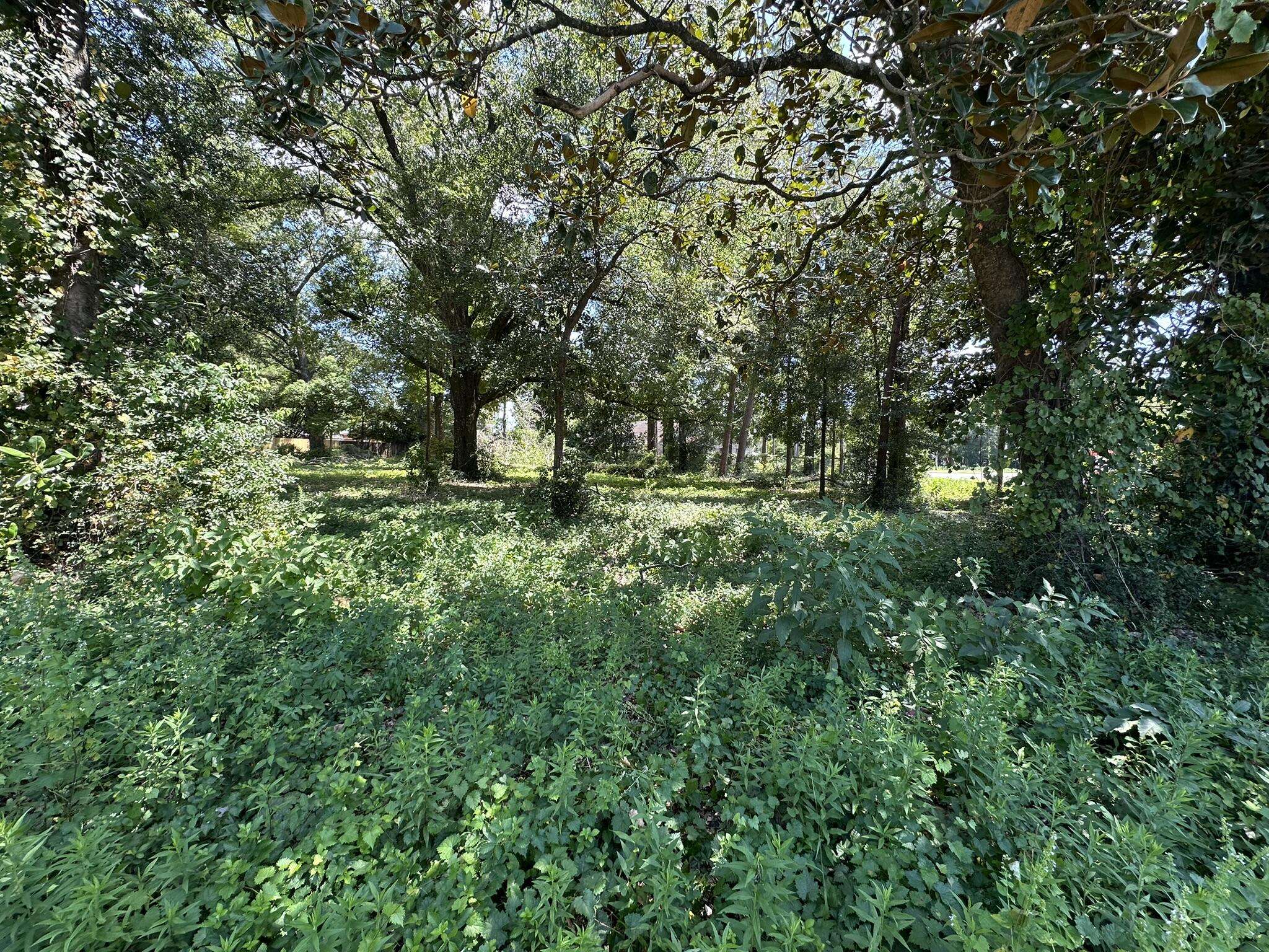 Crestview, FL 32536,TBD W Juniper Avenue