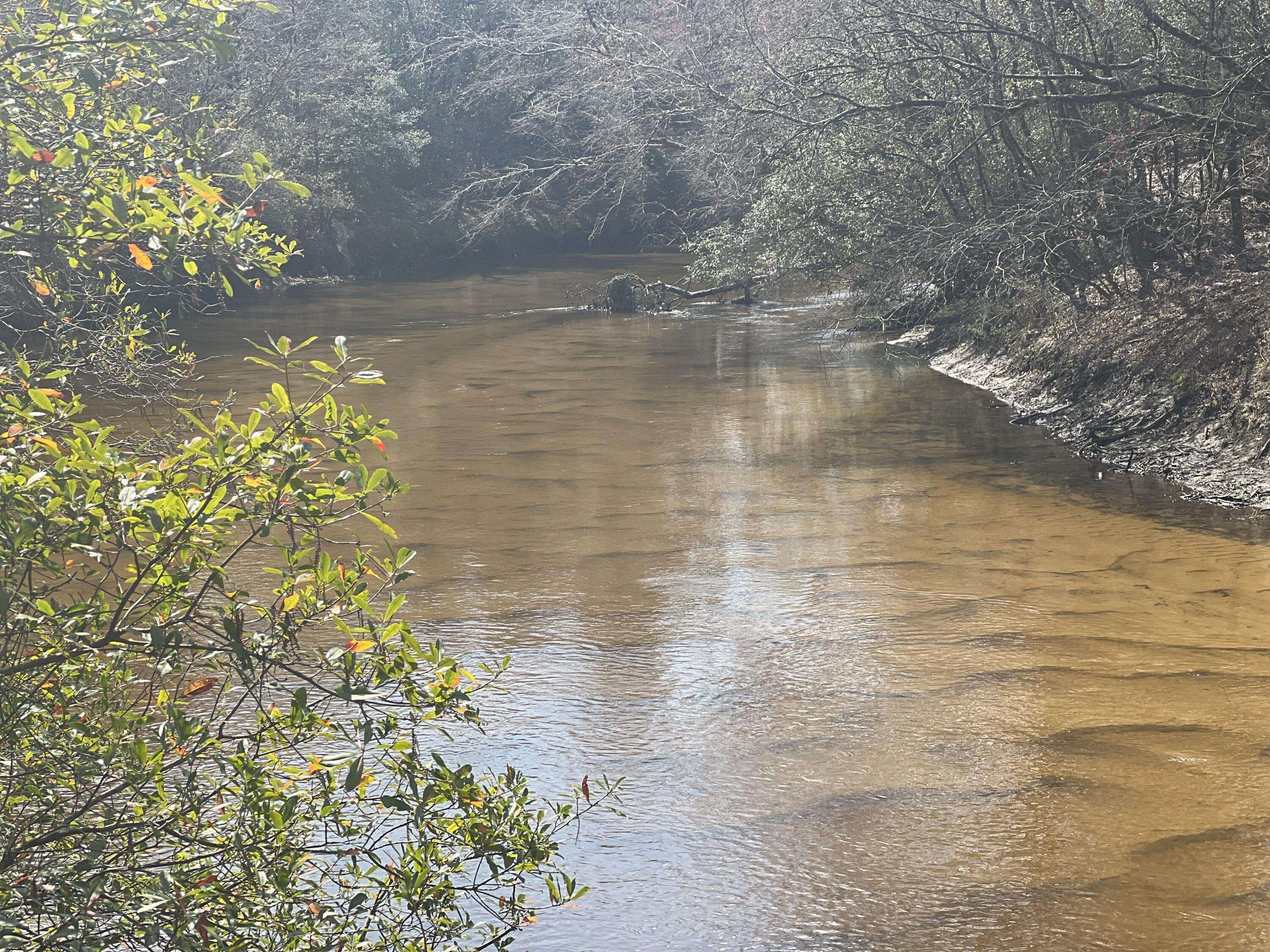 Defuniak Springs, FL 32433,X Eagles Way