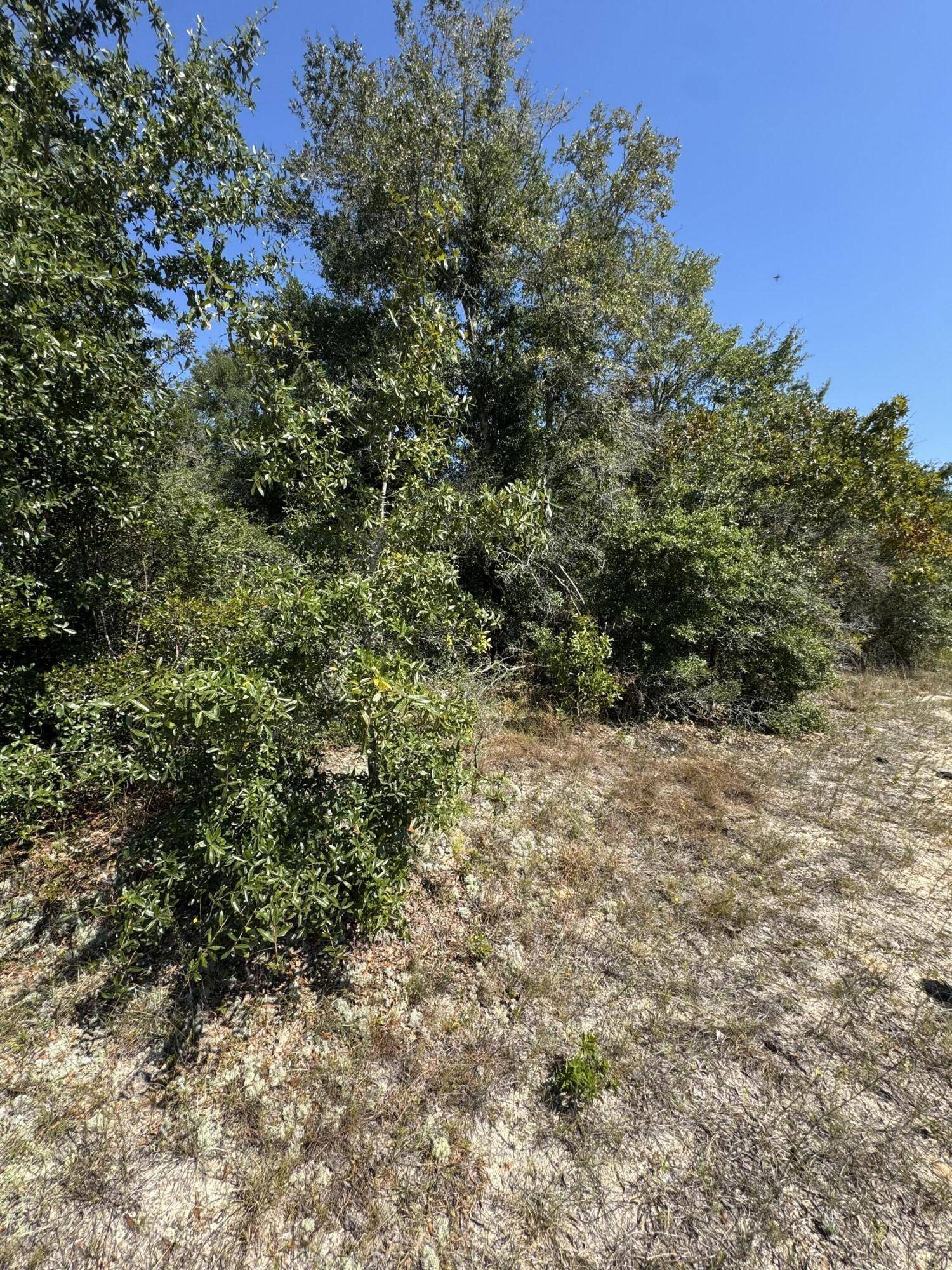 Defuniak Springs, FL 32433,Lot 9 Franck Drive