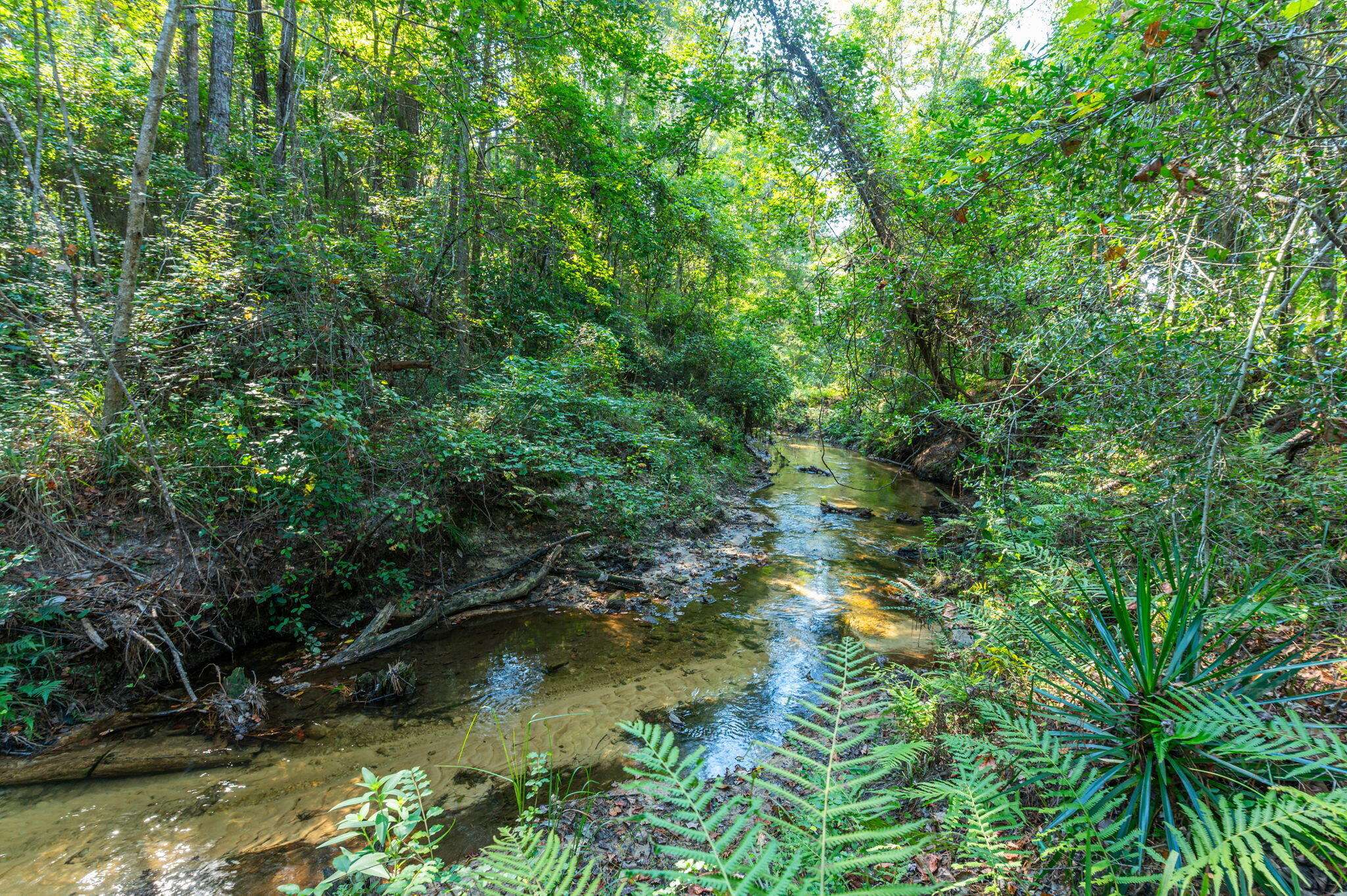 Defuniak Springs, FL 32435,3279 Bob Sikes Road