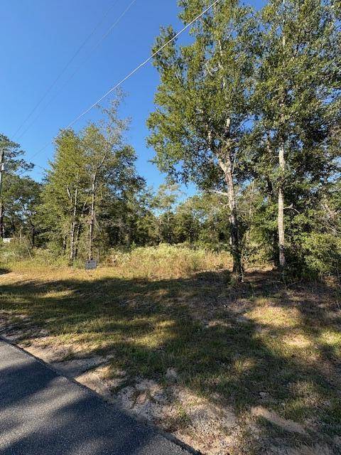 Defuniak Springs, FL 32433,Lot 48 Howlin Road