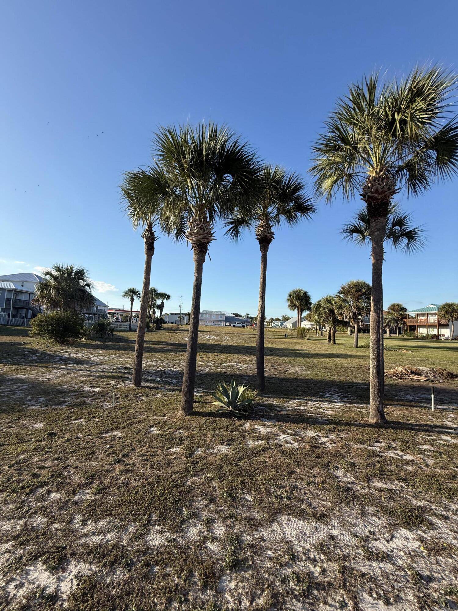 Port St. Joe, FL 32456,Lot 10 Sea Shore Drive