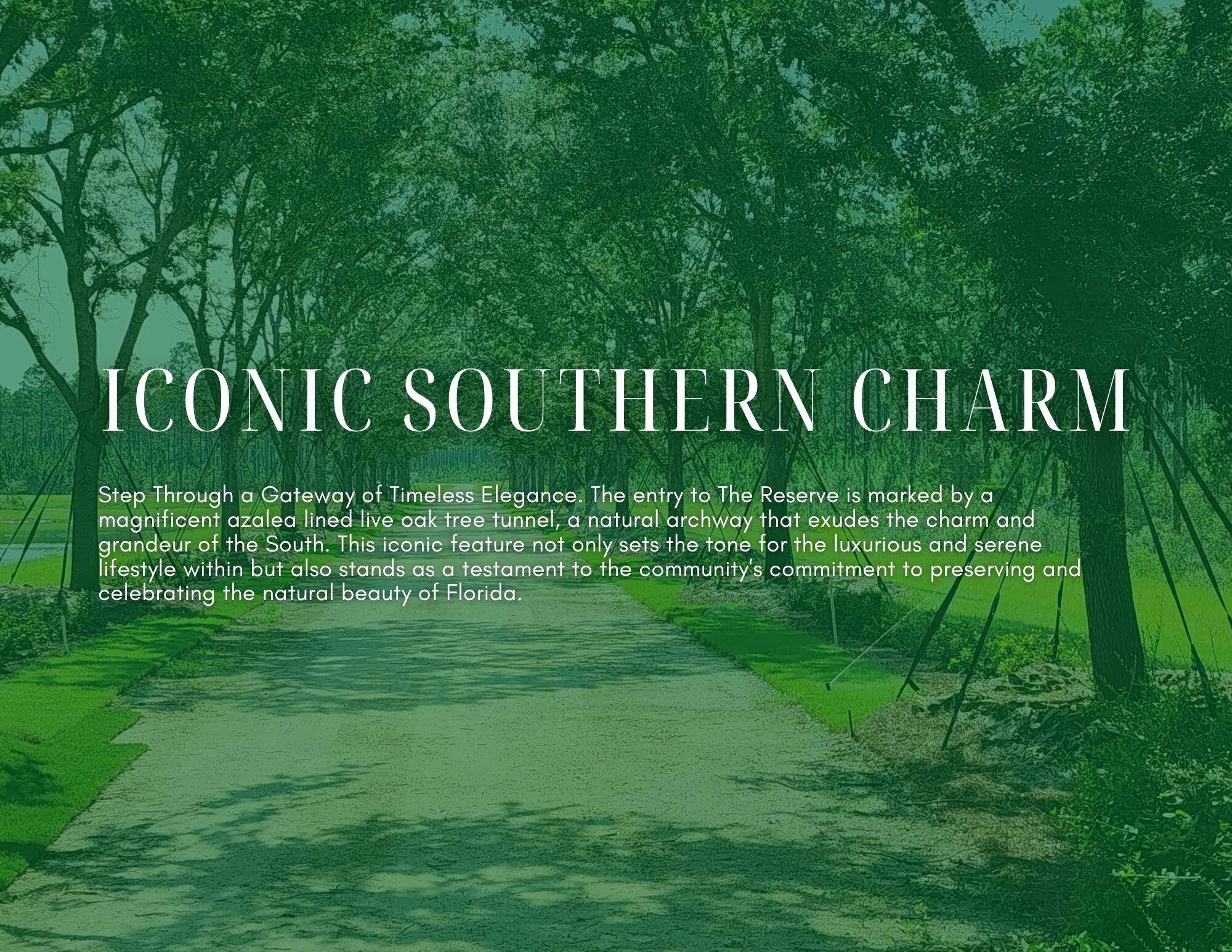 Freeport, FL 32439,Lot 12 Reserve at Hammock Bay