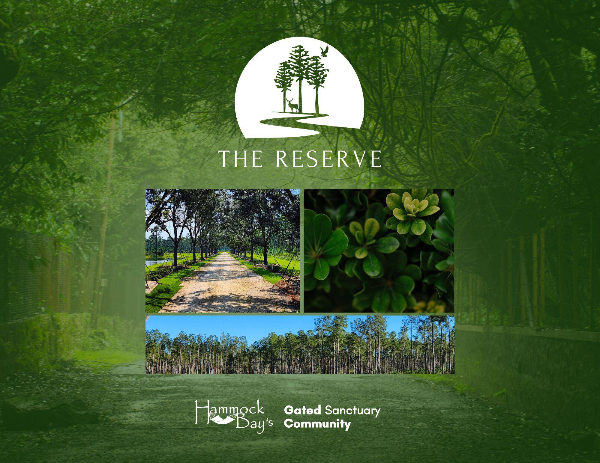 Freeport, FL 32439,Lot 36 Reserve at Hammock Bay