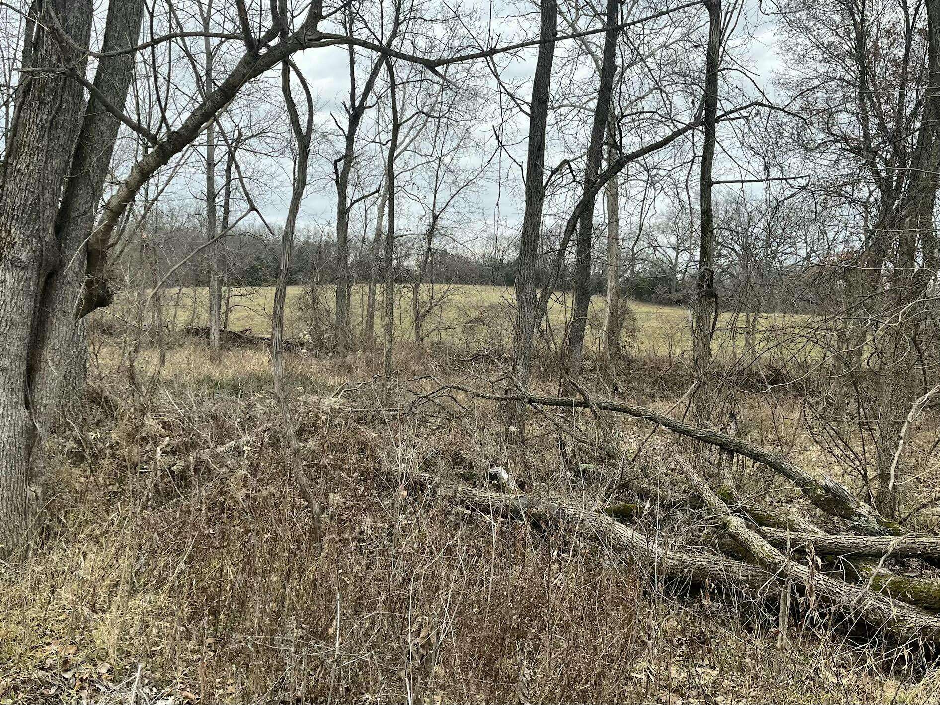 Columbia, MO 65279,N Tipton Road