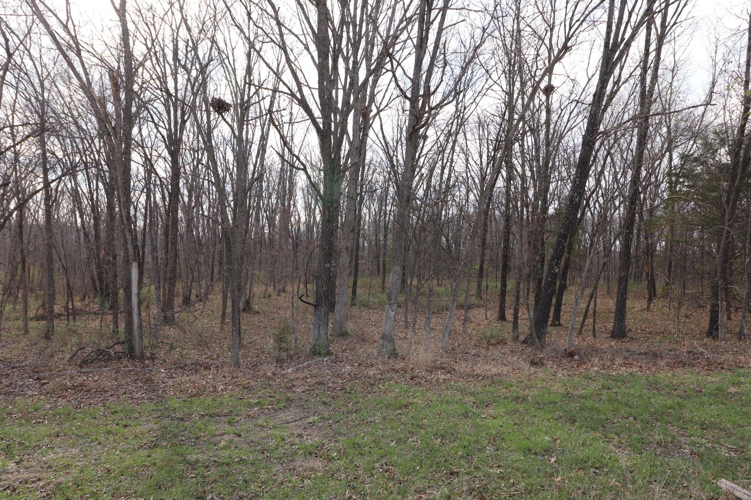 Williamsburg, MO 63388,5 Acres County Rd 144 Tract1