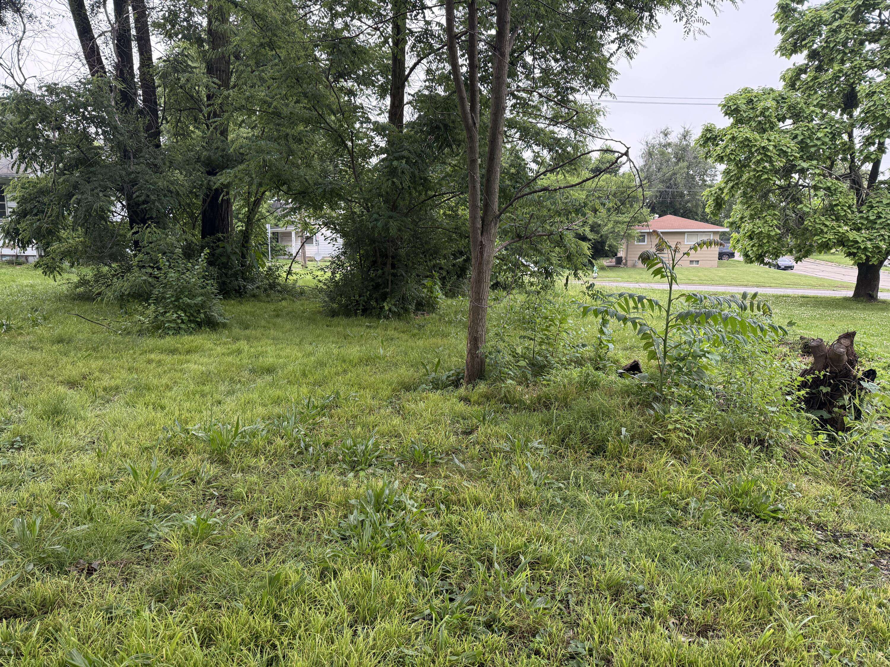 Mexico, MO 65265,614 E Breckenridge Street