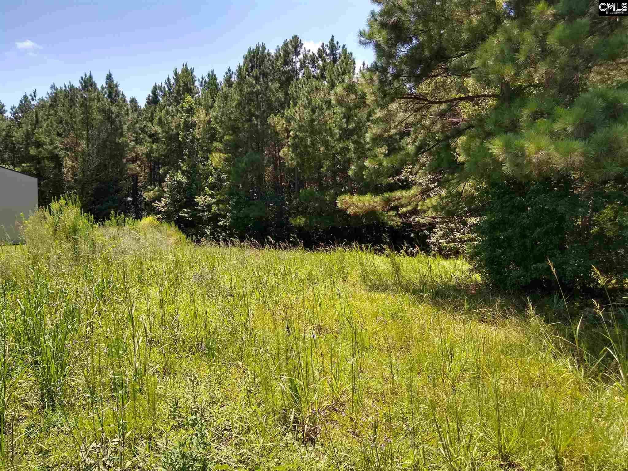 Cheraw, SC 29520,0 Chesterfield Highway