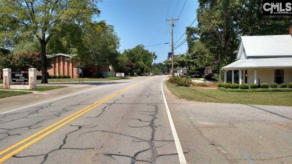 Chapin, SC 29036,235 COLUMBIA Avenue