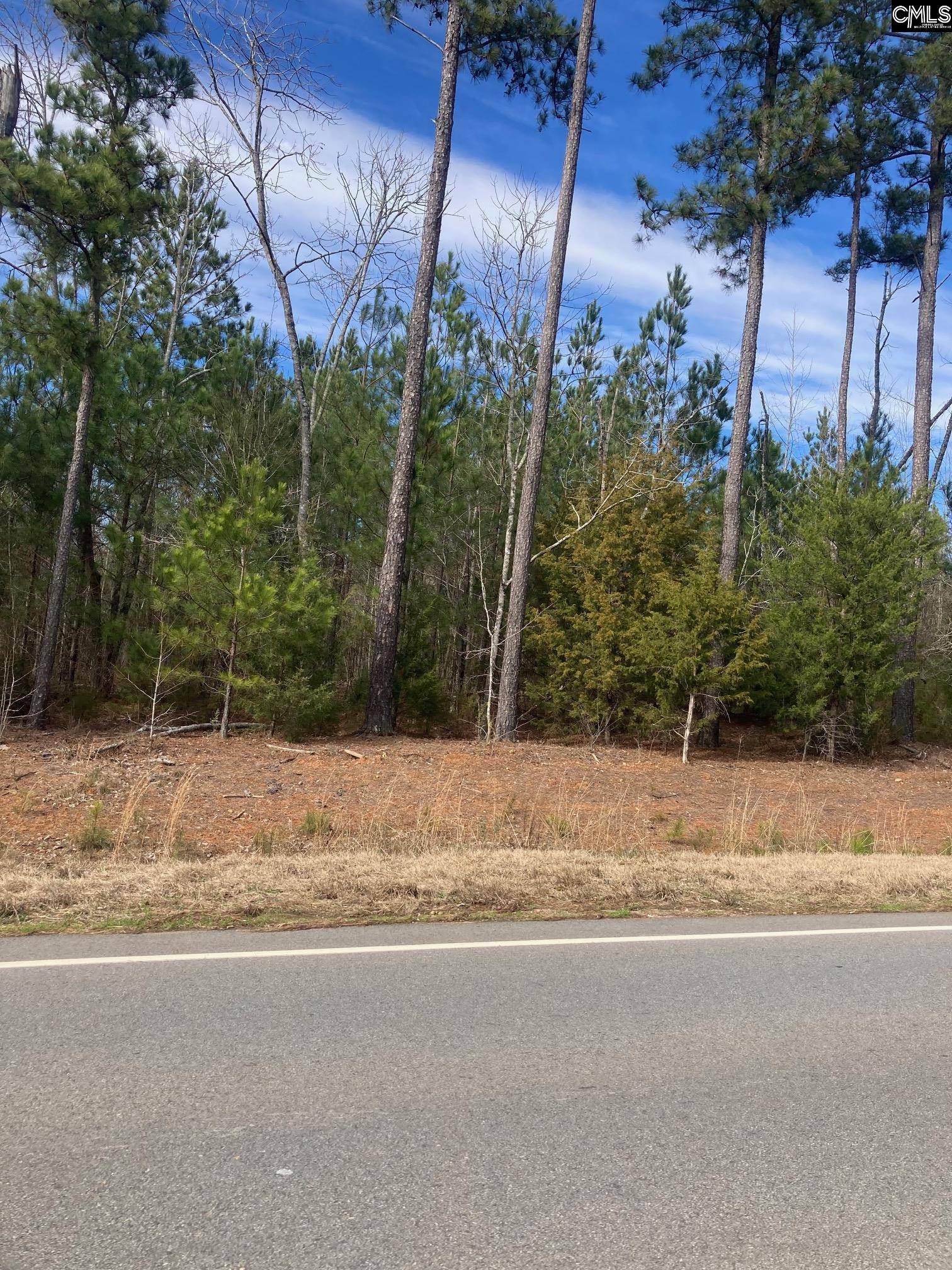 Chapin, SC 29036,Johnson Marina Road