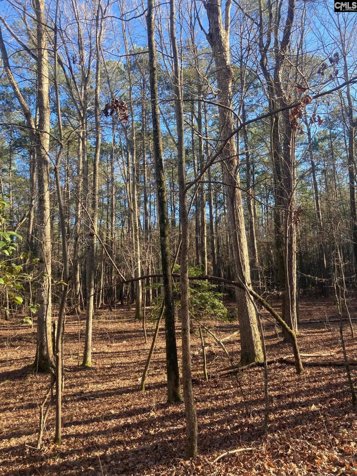 Prosperity, SC 29127,0 Church