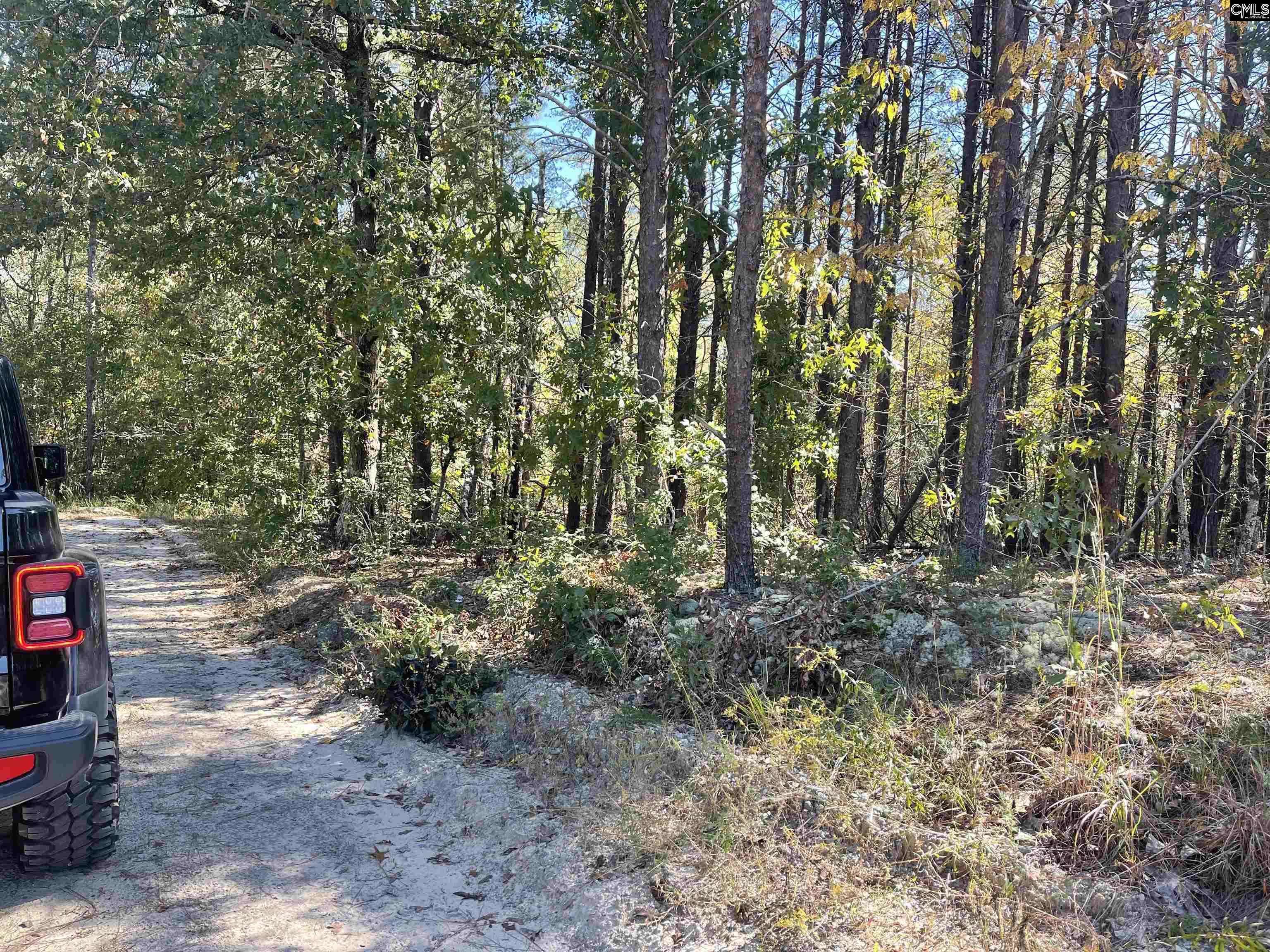 Lugoff, SC 29078,1809 Louise Court