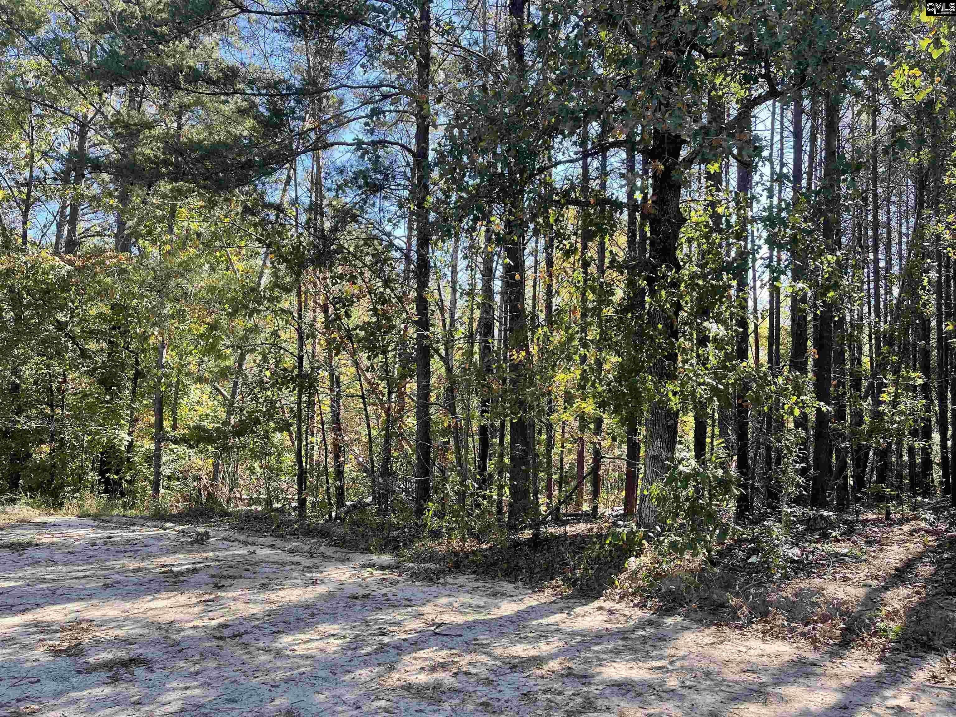 Lugoff, SC 29078,1809 Louise Court