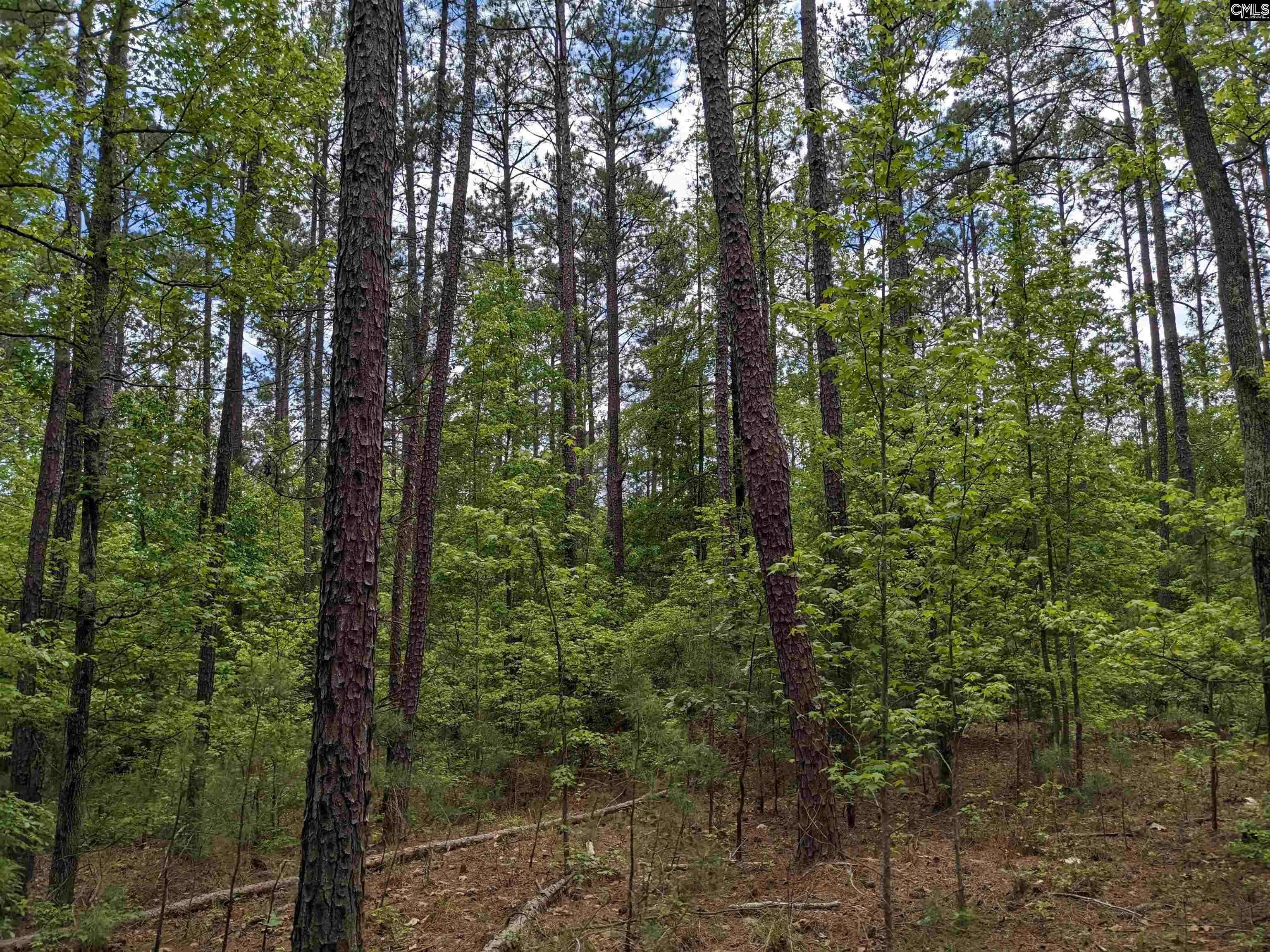 Ridgeway, SC 29130,489 Syrup Mill Road