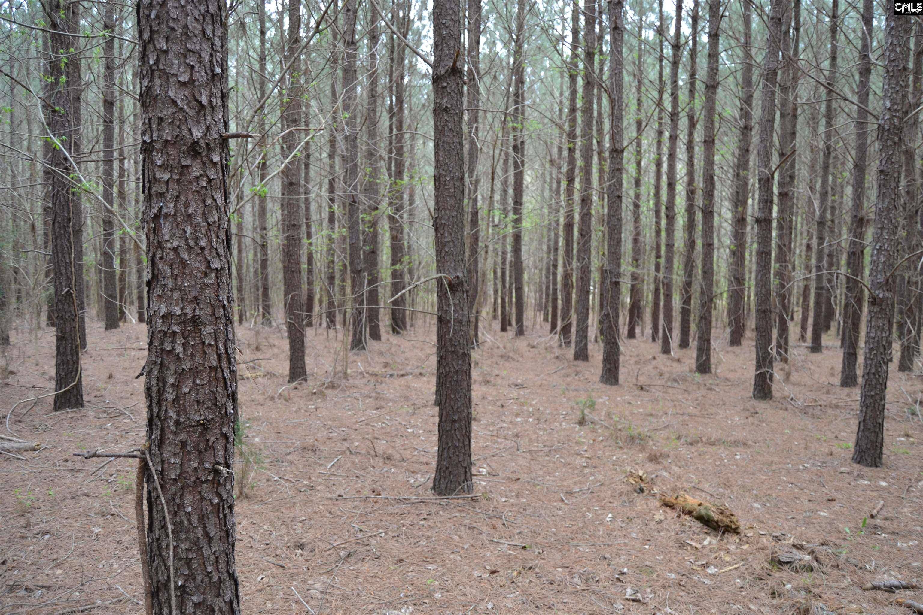 Irmo, SC 29063,1309 Farming Creek Road
