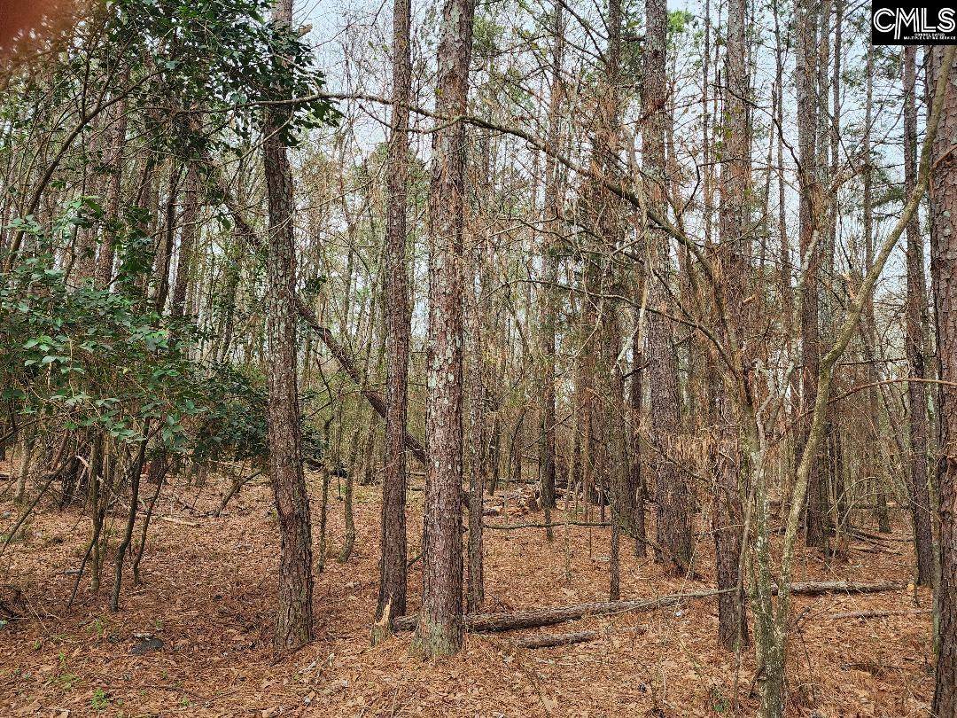 Newberry, SC 29108-0000,W on Giff Street