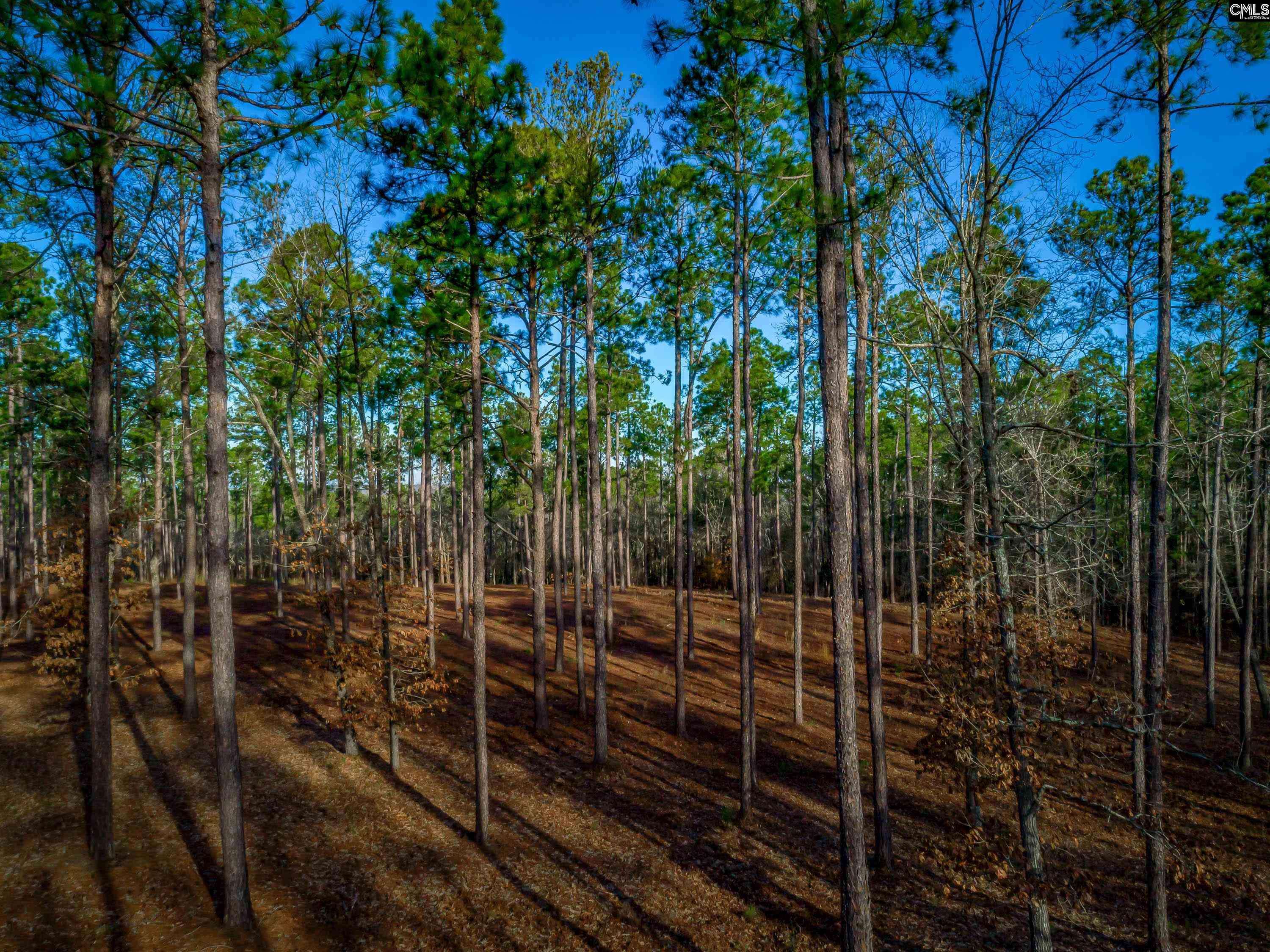 Rembert, SC 29128,1626-07 Sumter Highway #Lot 7