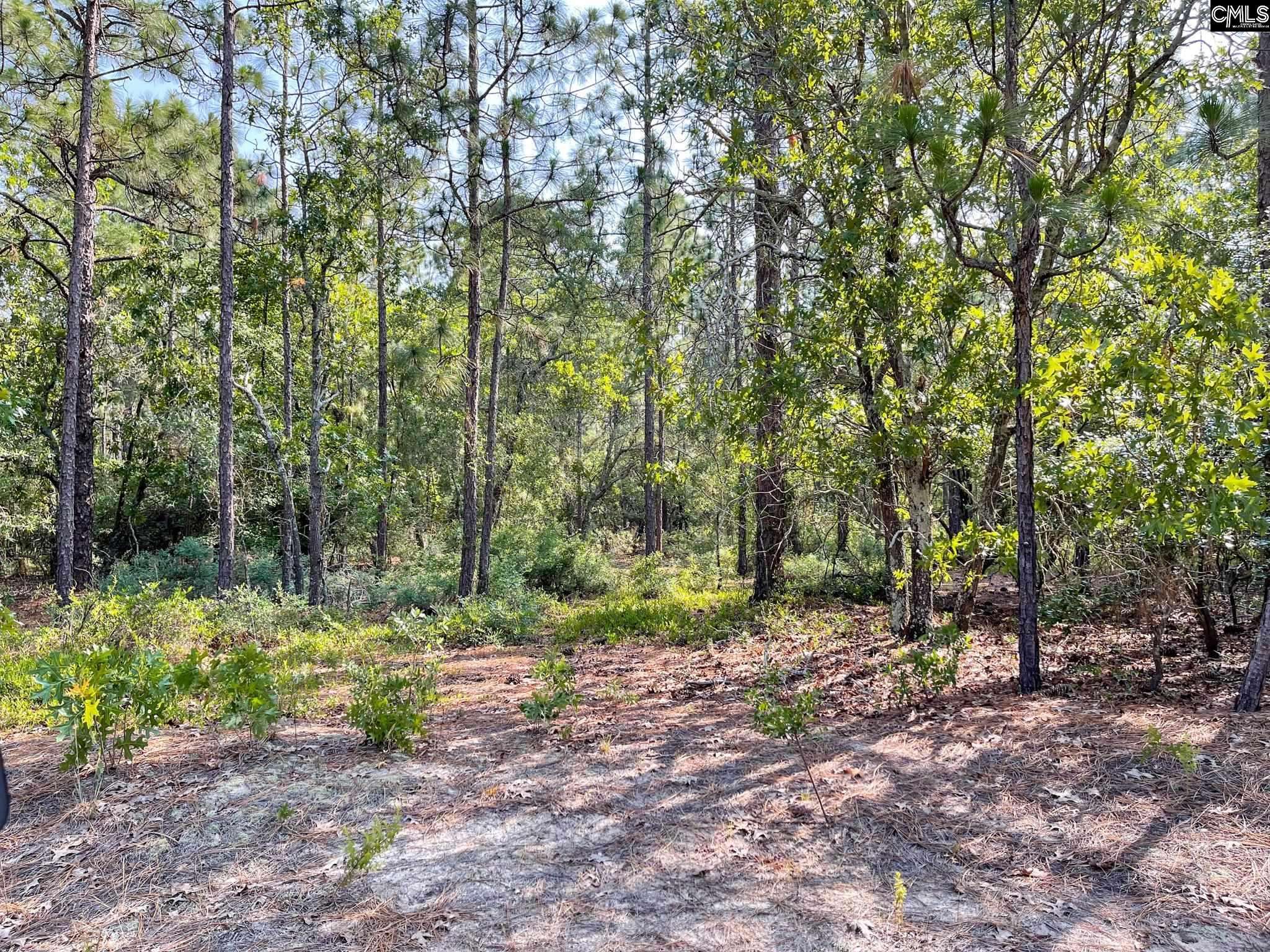 Leesville, SC 29070,131 Cassie Road