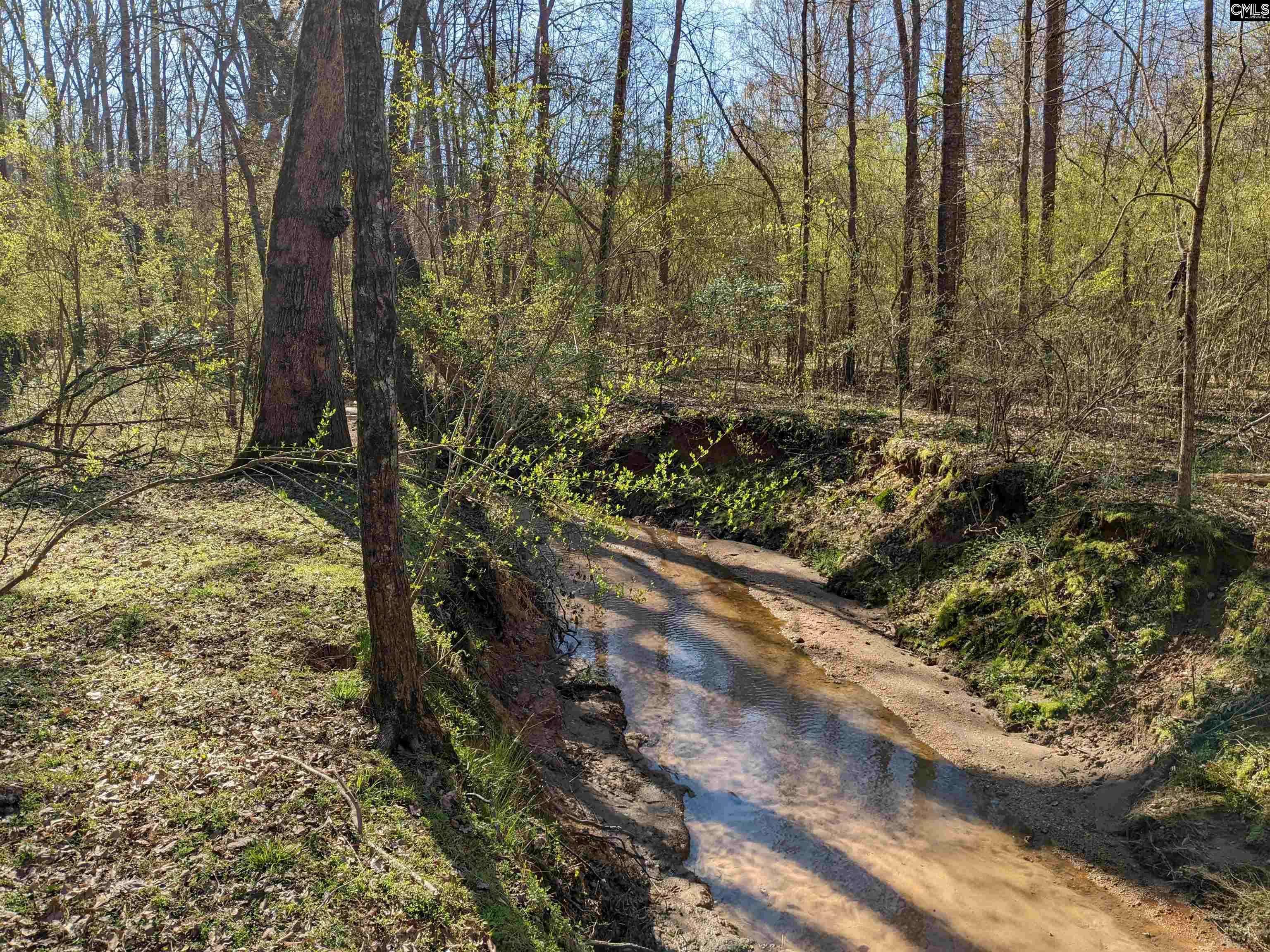 Newberry, SC 29108,Springhill Drive