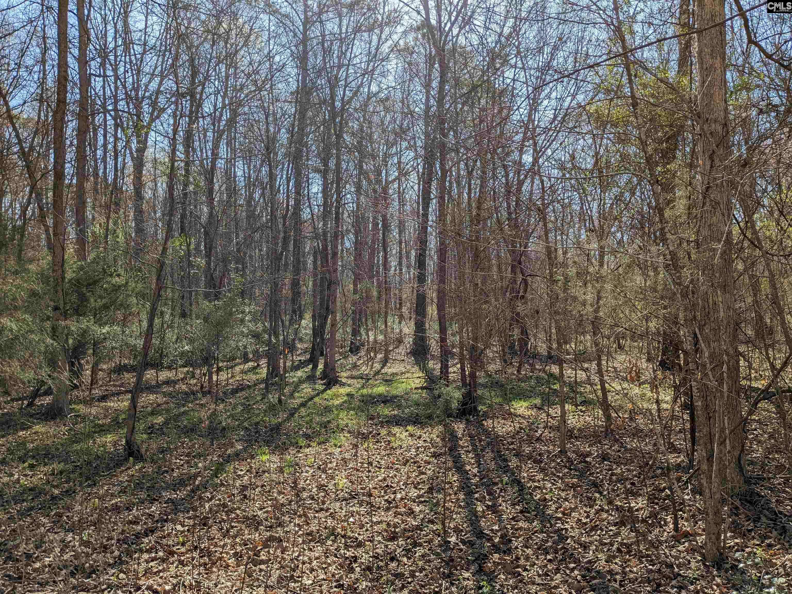 Newberry, SC 29108,Springhill Drive