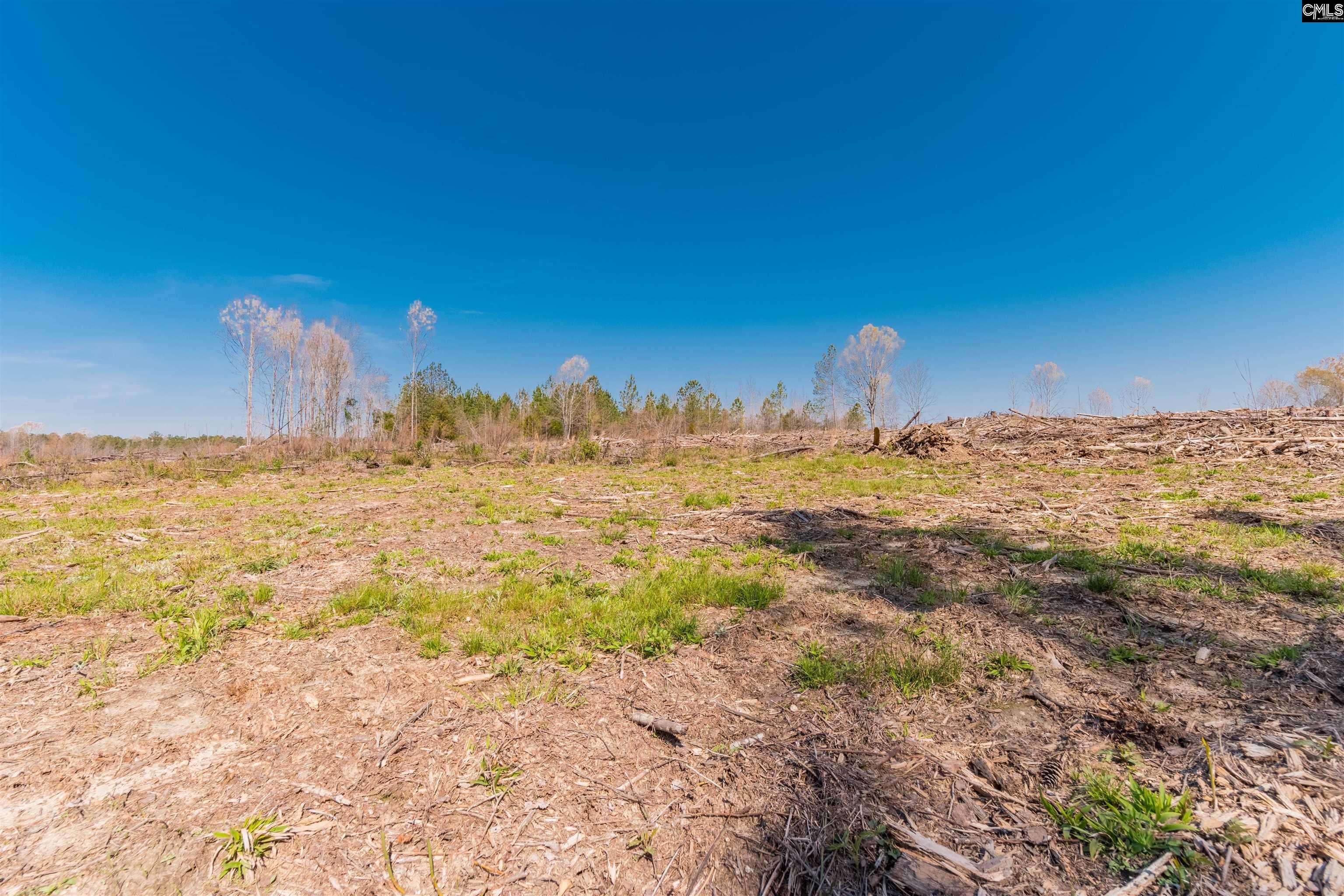 Batesburg, SC 29006,Duncan Road #5