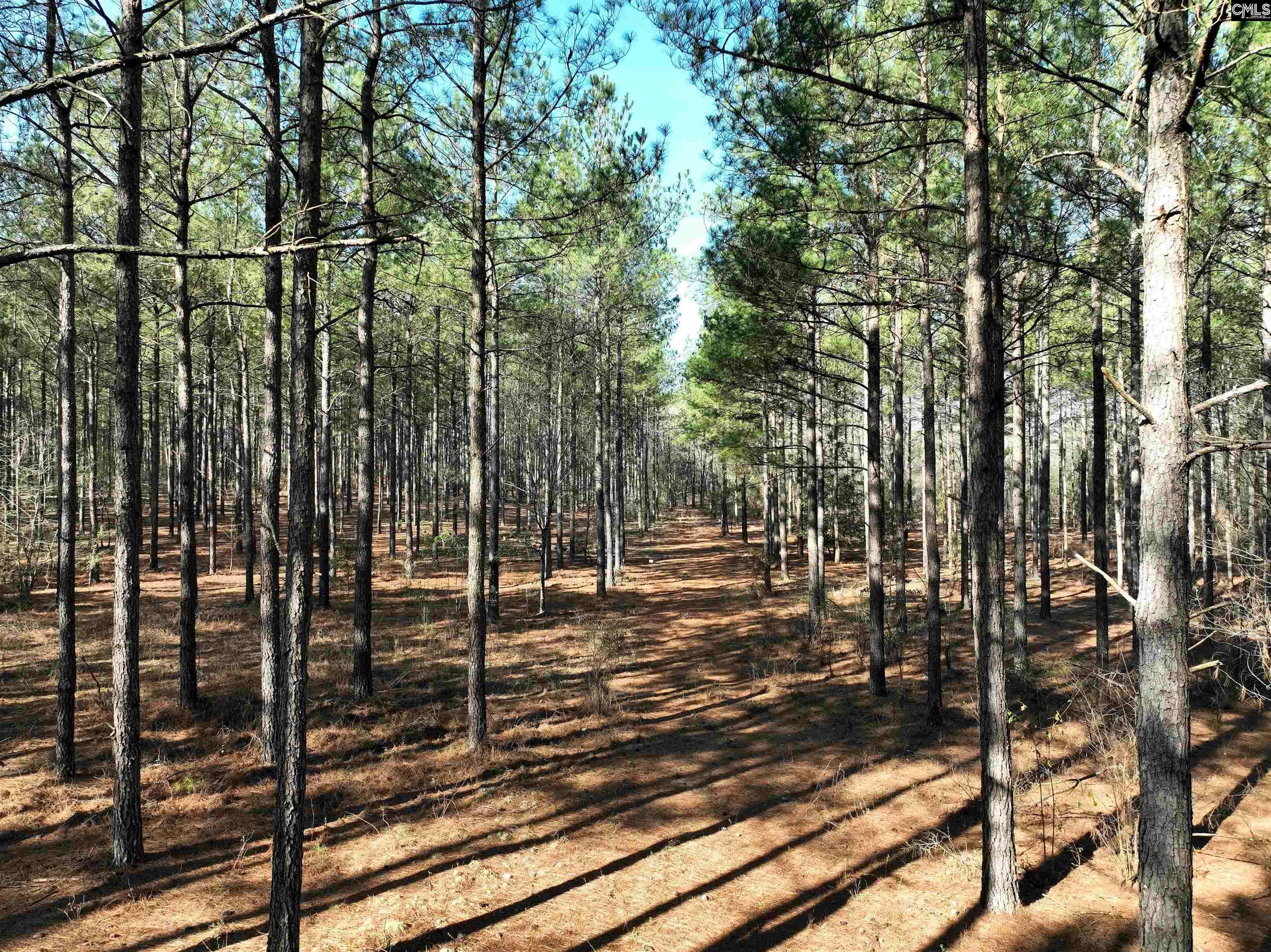 Salley, SC 29137,0000 Salley Road