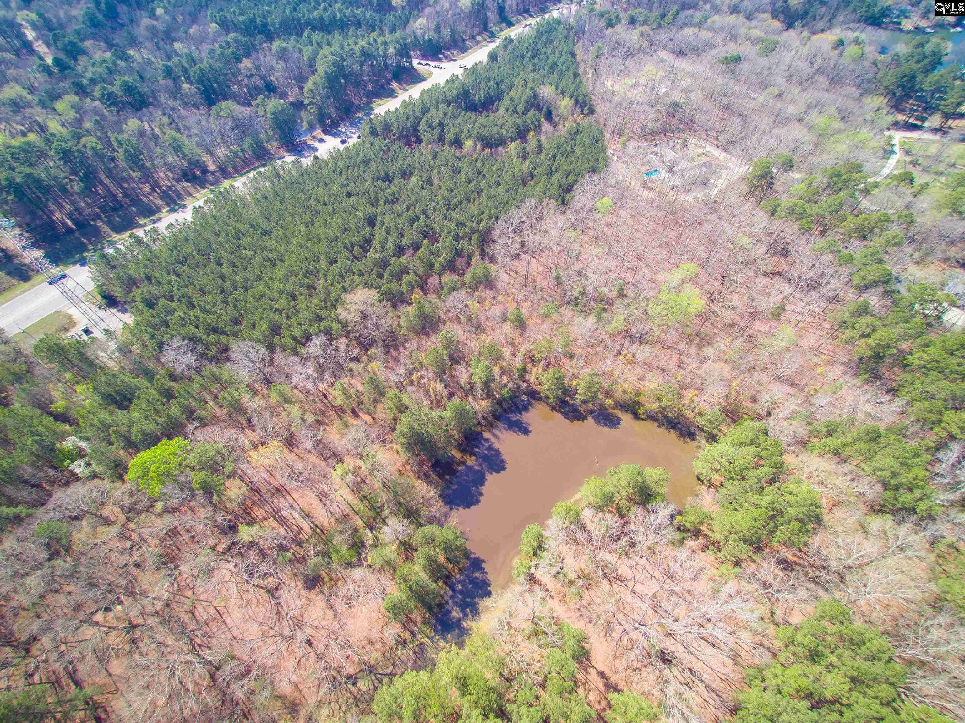 Lexington, SC 29072,0 Counts Ferry Road Lot 9 #9