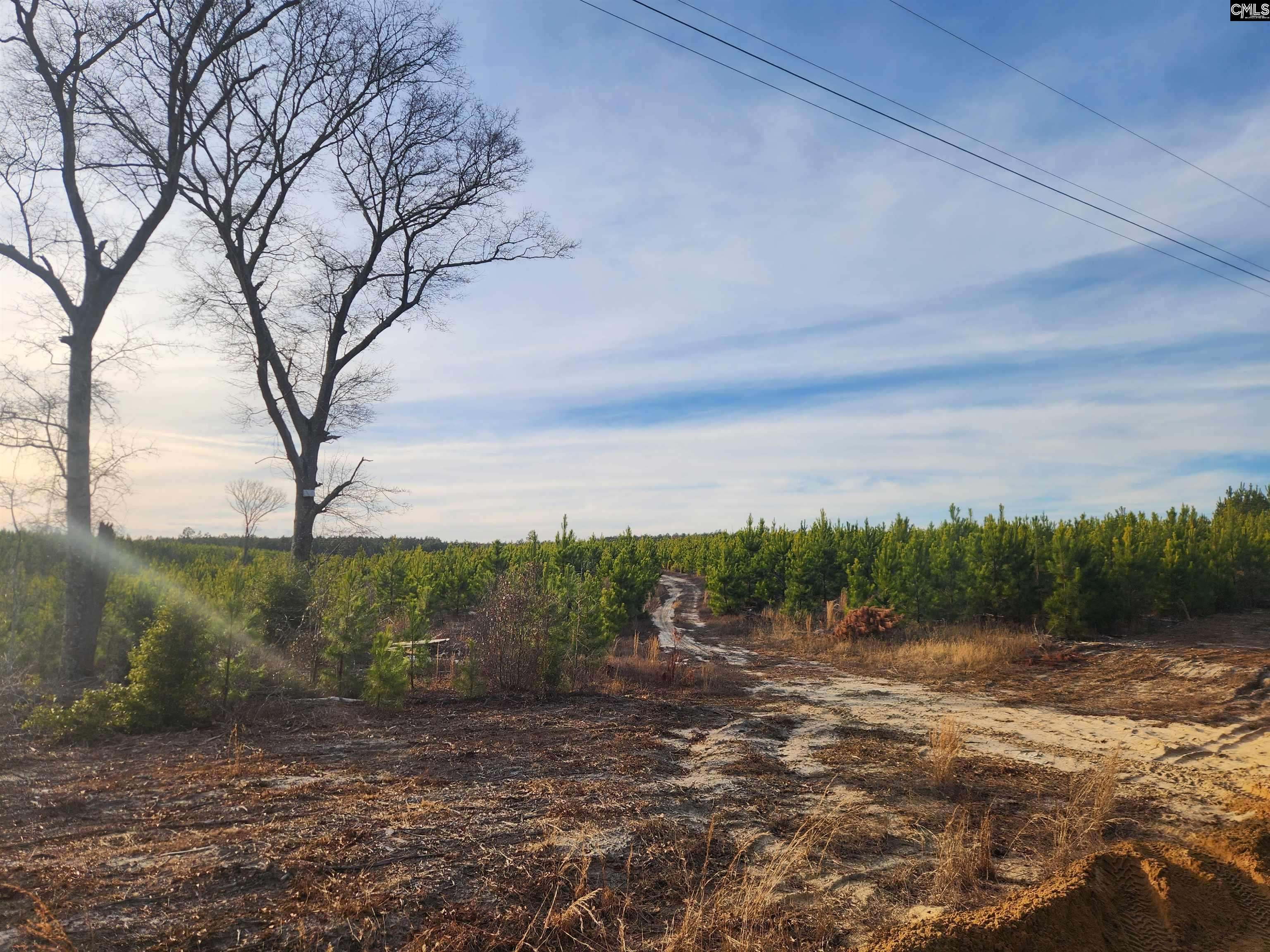 Gilbert, SC 29123,BCE 9A Kelly Day Road BCE 9A #BCE 9A