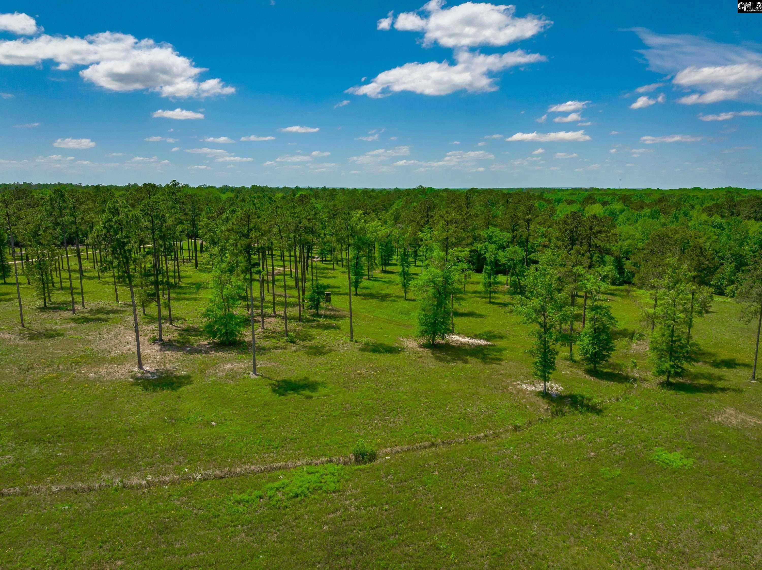 Rembert, SC 29128,1626-06 Sumter Highway #Lot 6
