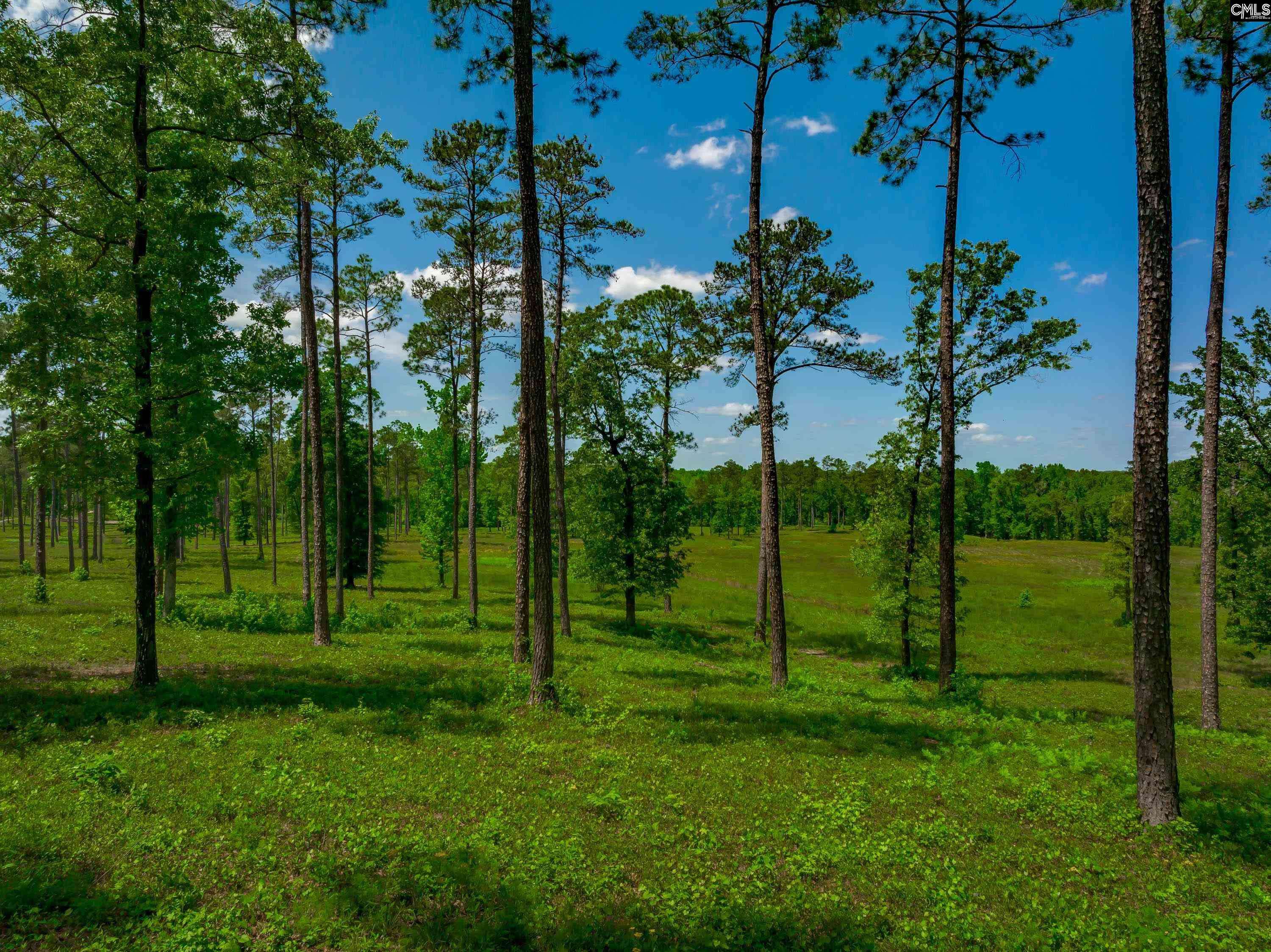 Rembert, SC 29128,1626-06 Sumter Highway #Lot 6