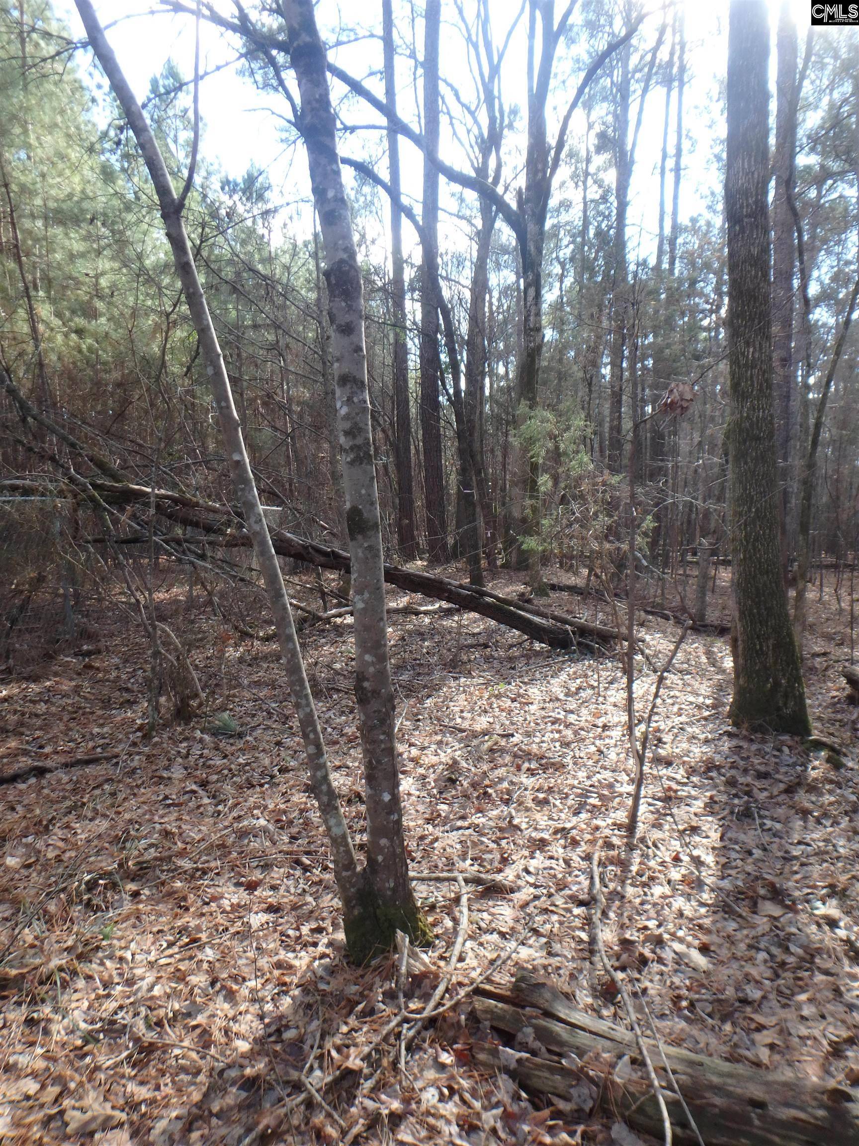 Chapin, SC 29036,0 Amicks Ferry Road