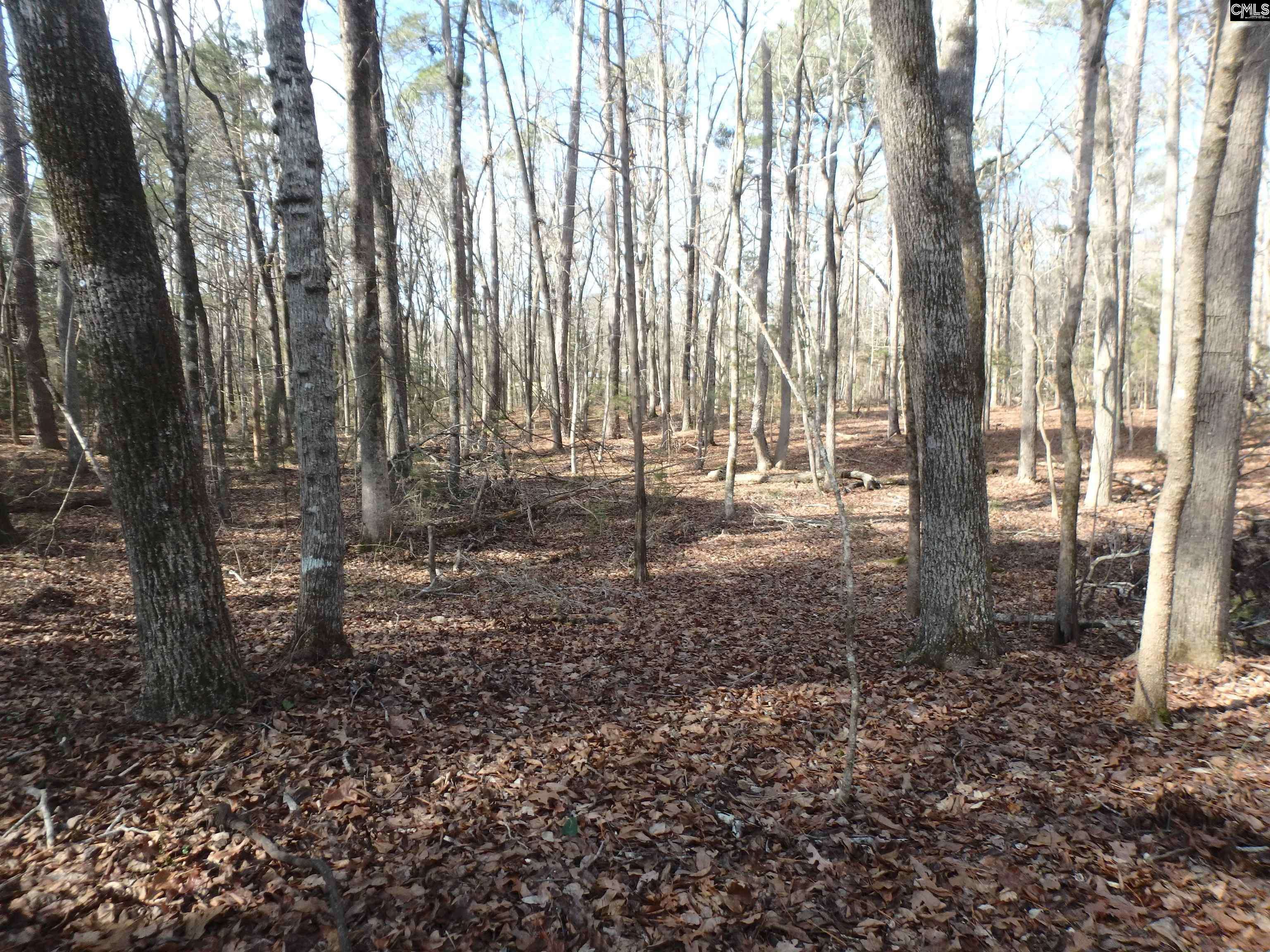 Chapin, SC 29036,0 Amicks Ferry Road