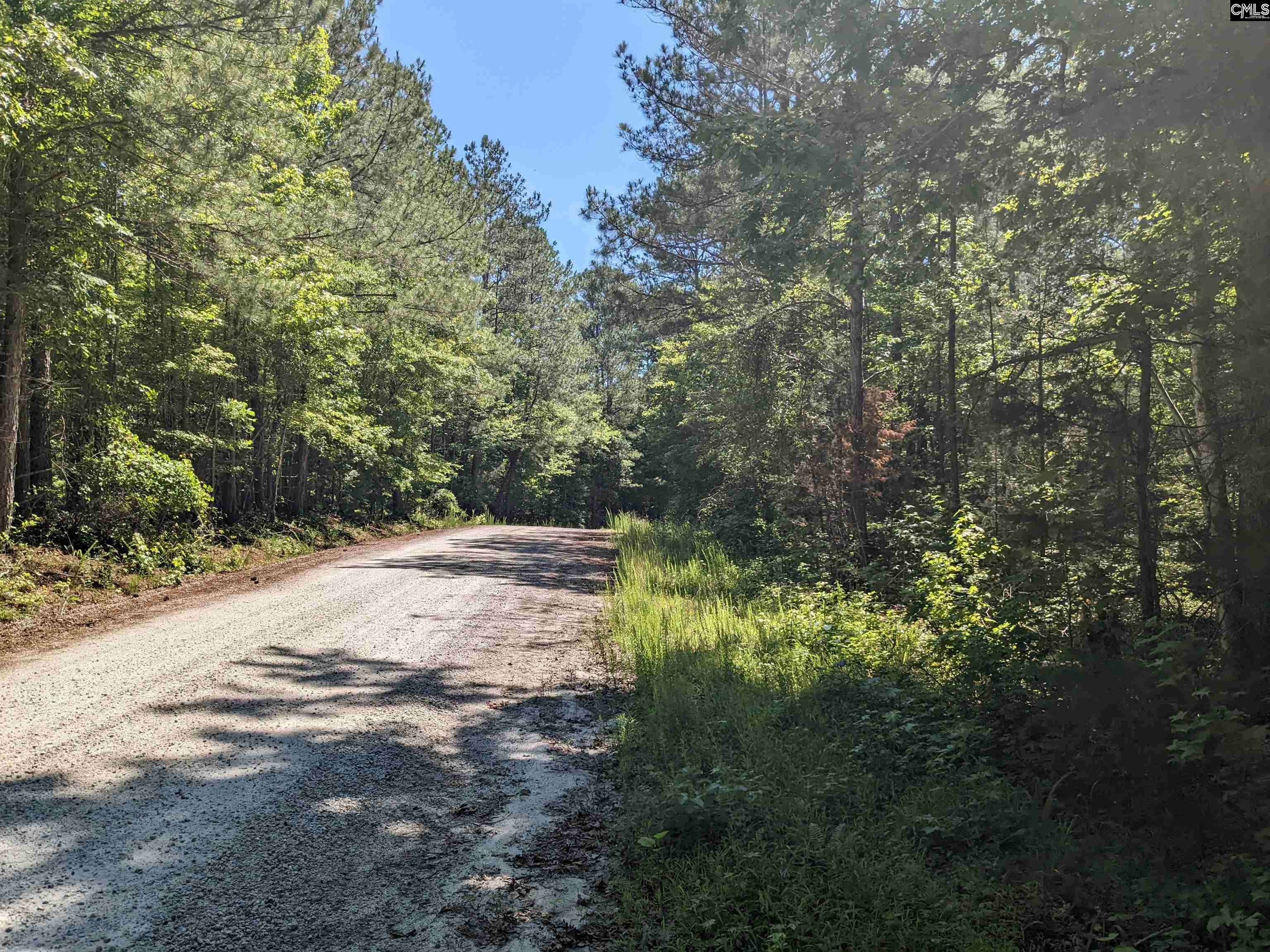 Ridgeway, SC 29130,Osbourne Lane