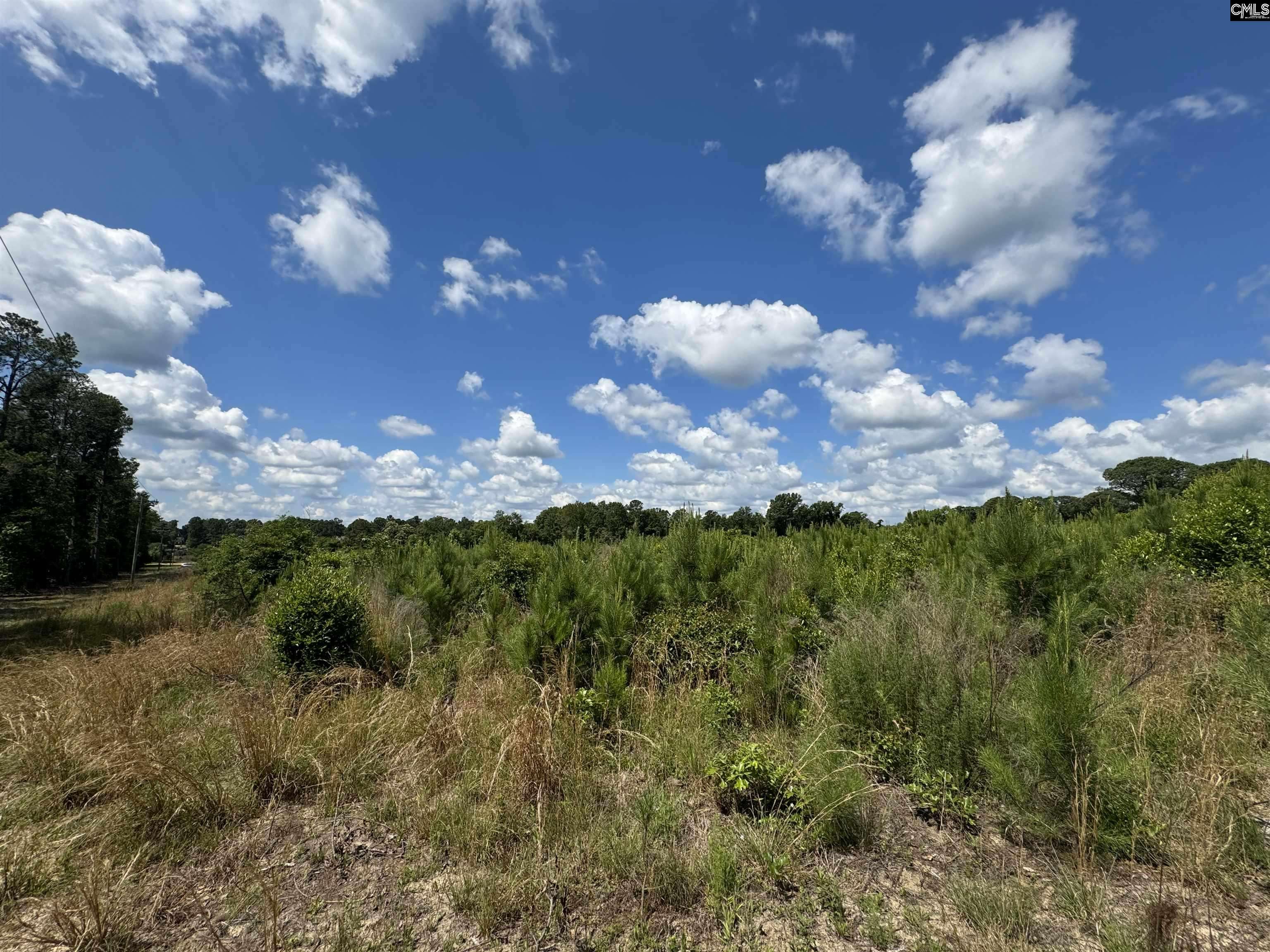 Dalzell, SC 29040,0 Peach Orchard Road #A