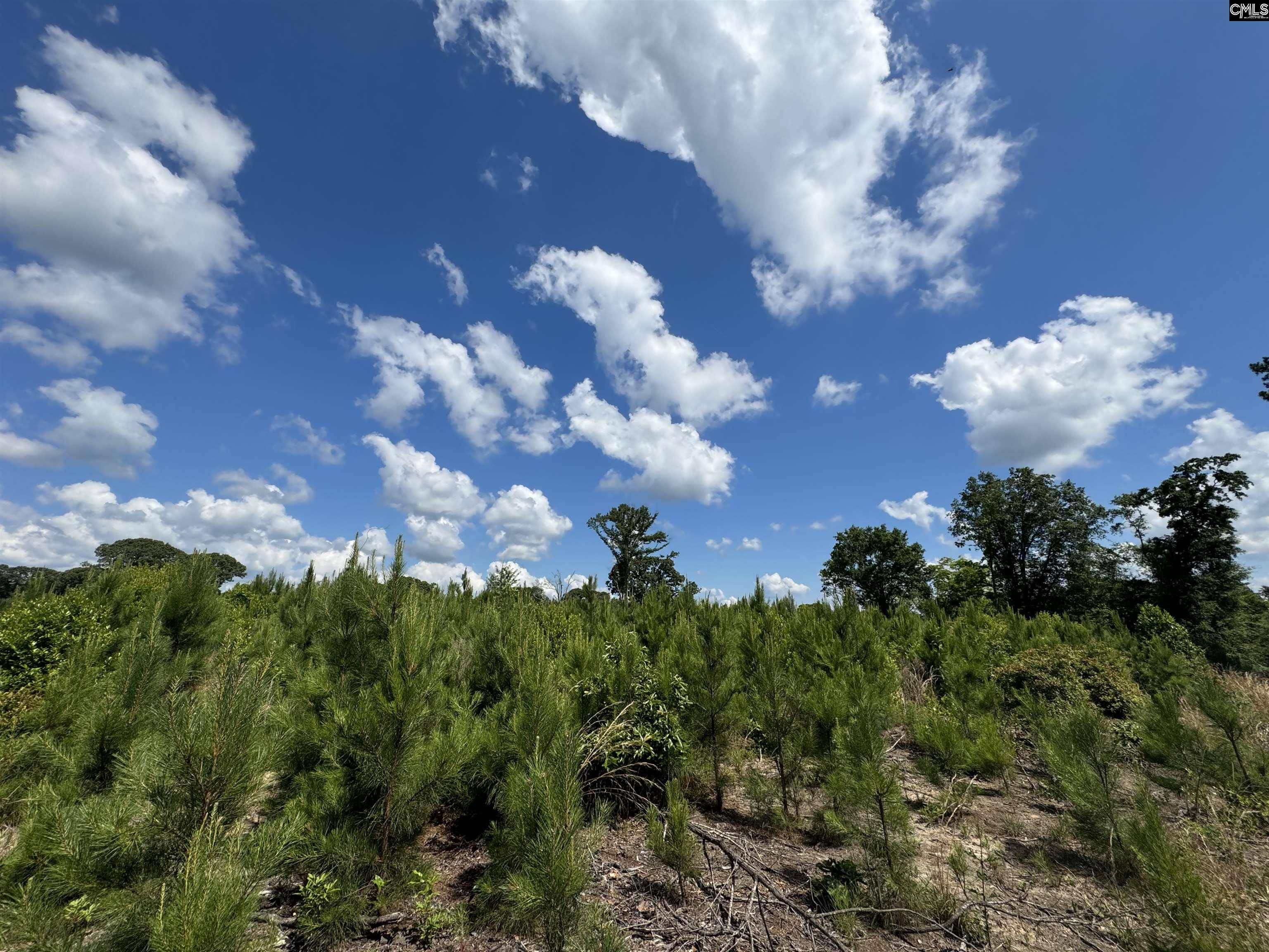 Dalzell, SC 29040,0 Peach Orchard Road #A