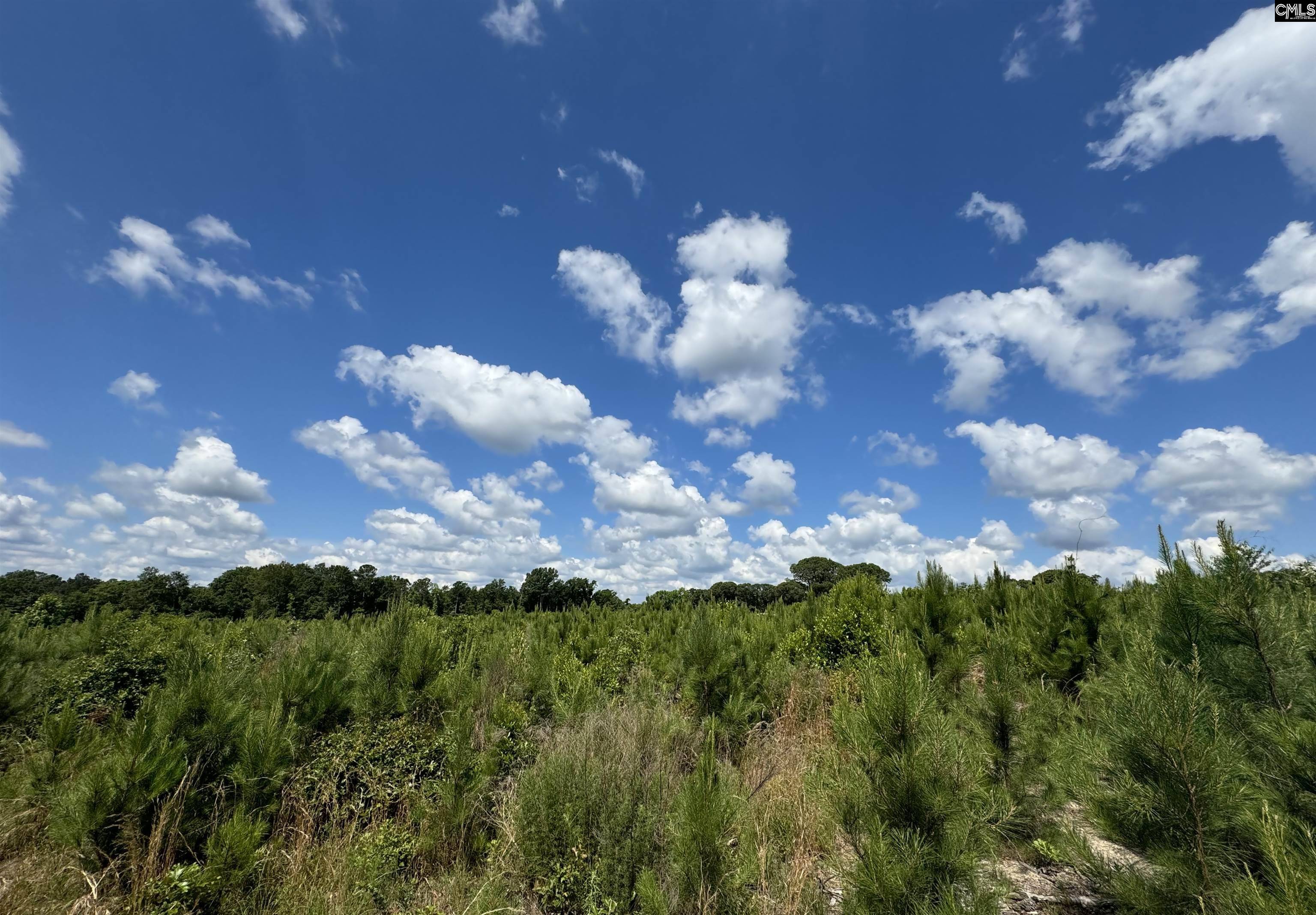 Dalzell, SC 29040,0 Peach Orchard Road #B