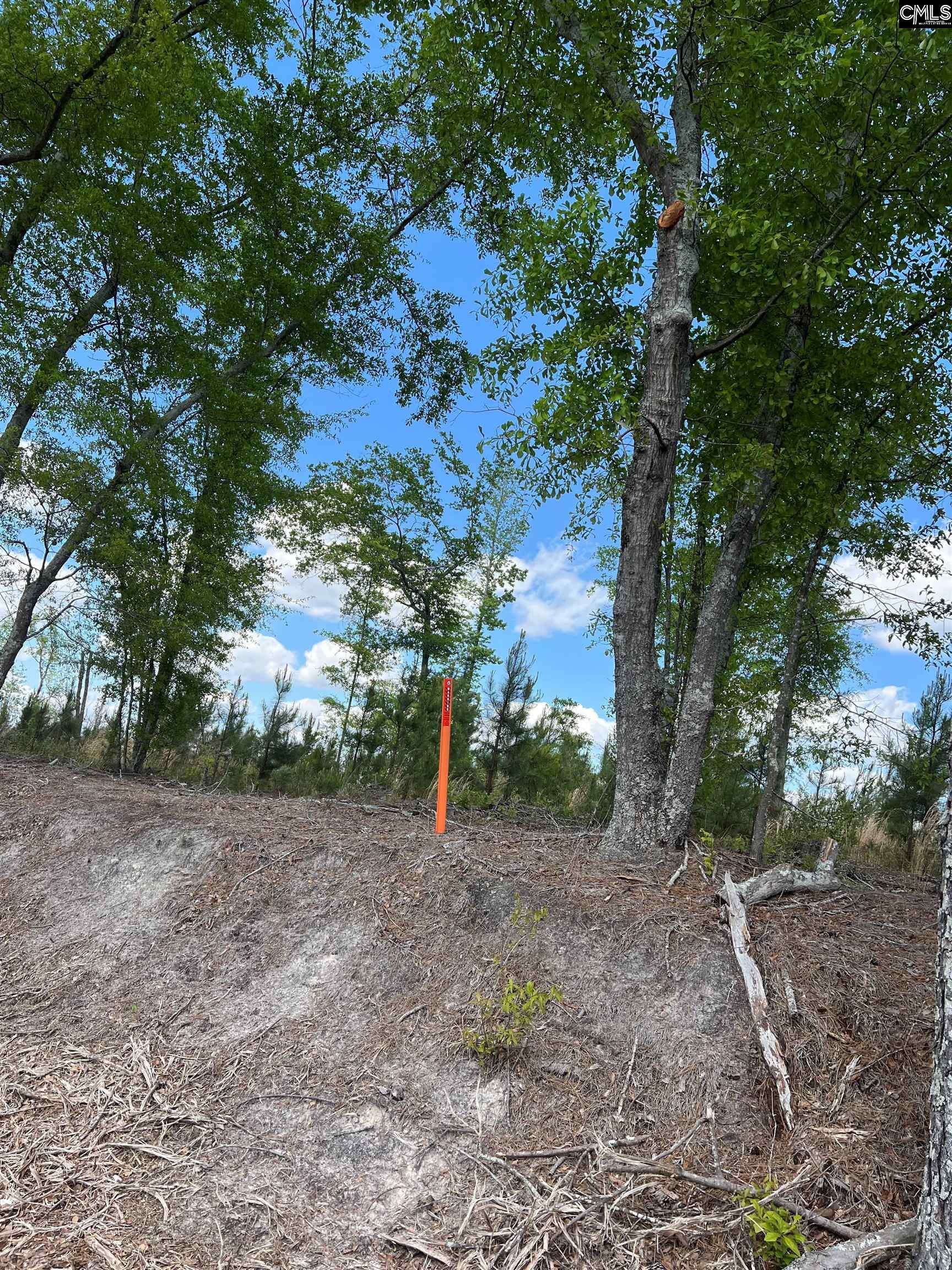 Leesville, SC 29070,Lot 5 Quattlebaum Rd 5 #5