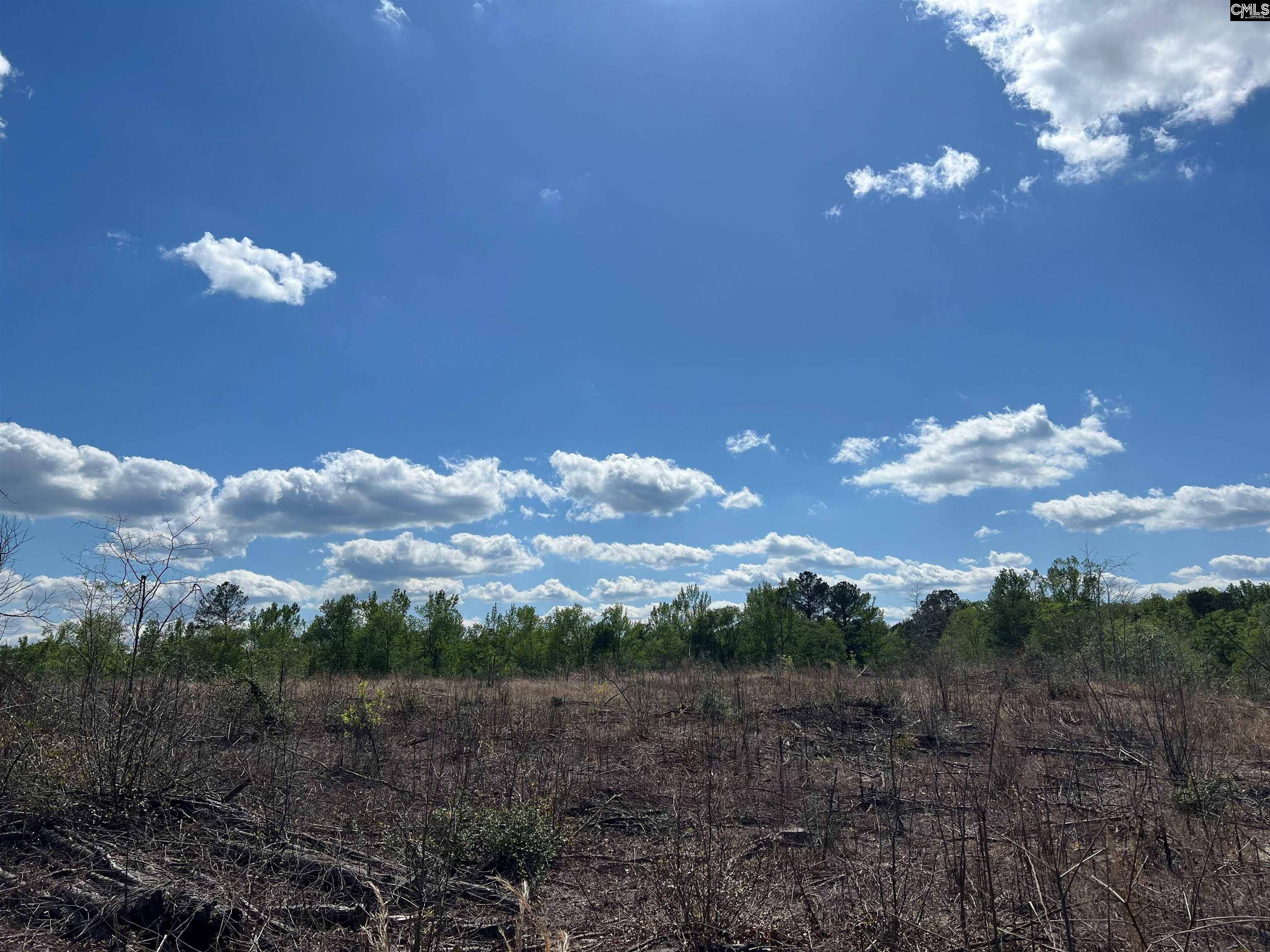 Leesville, SC 29070,Lot 5 Quattlebaum Rd 5 #5