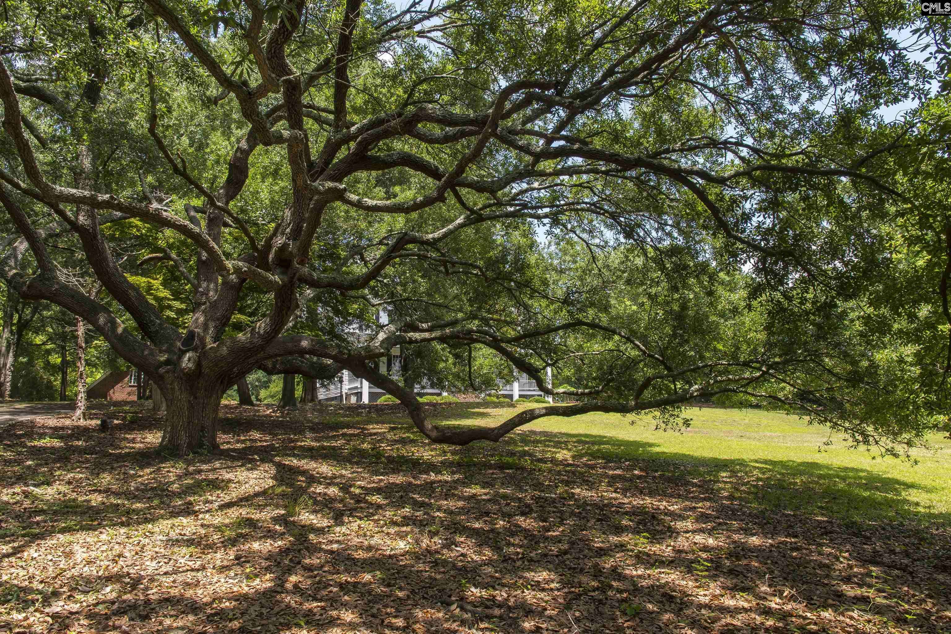 Camden, SC 29020,414 Greene Street
