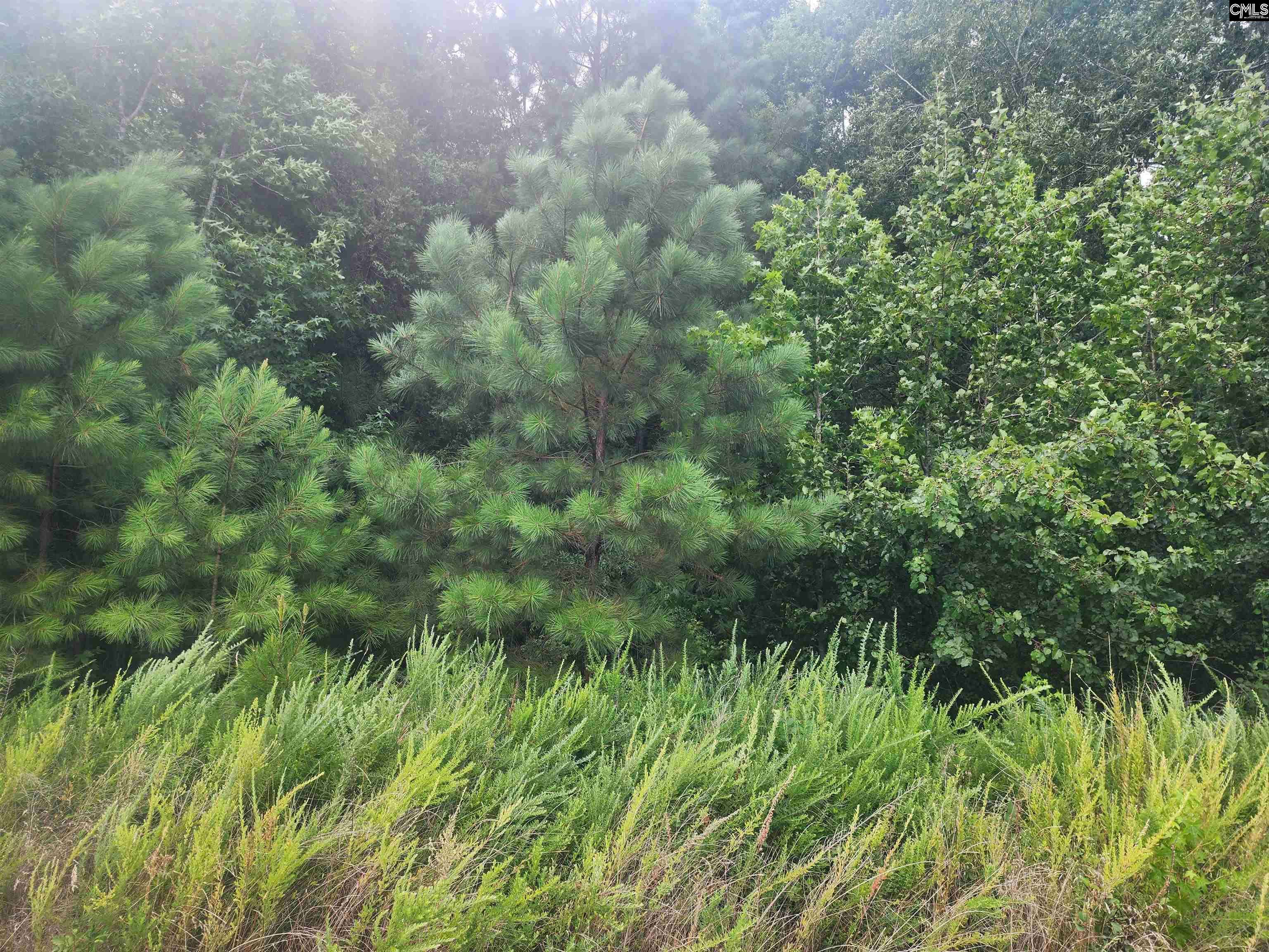 Newberry, SC 29108,Forest Ridge Drive #26