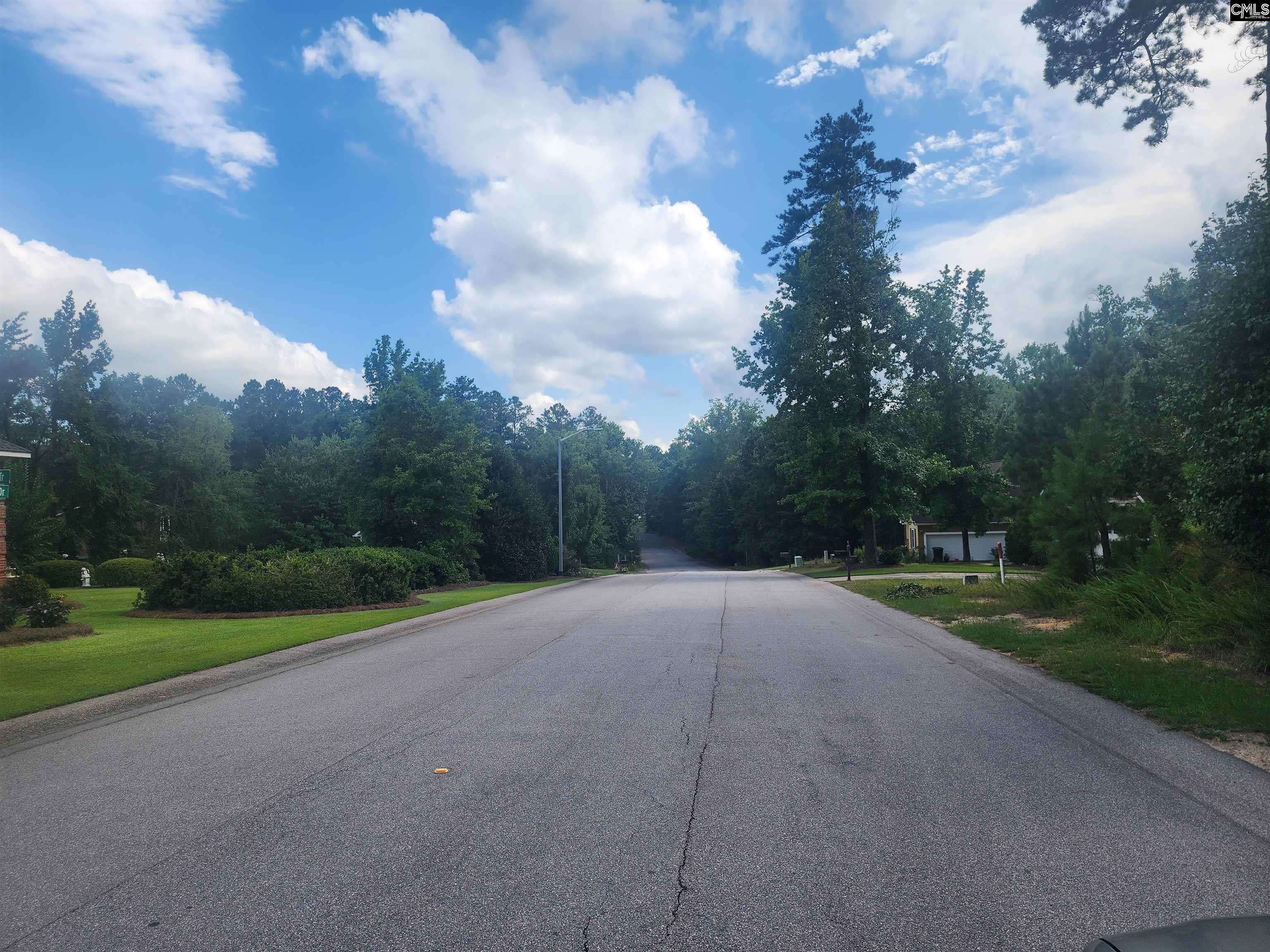 Newberry, SC 29108,Forest Ridge Drive #30 & 31 B