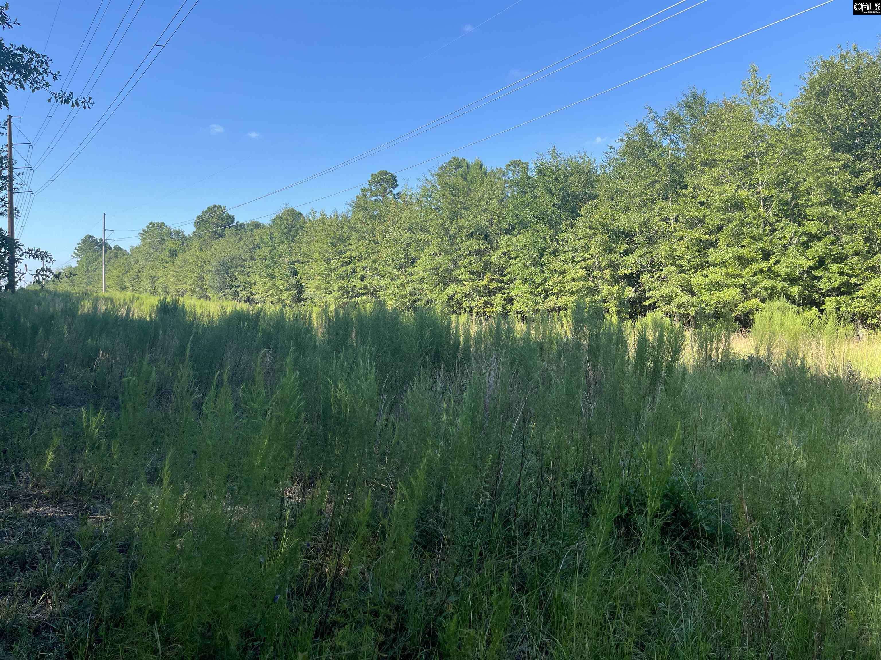North, SC 29112,TBD Parkwood Avenue
