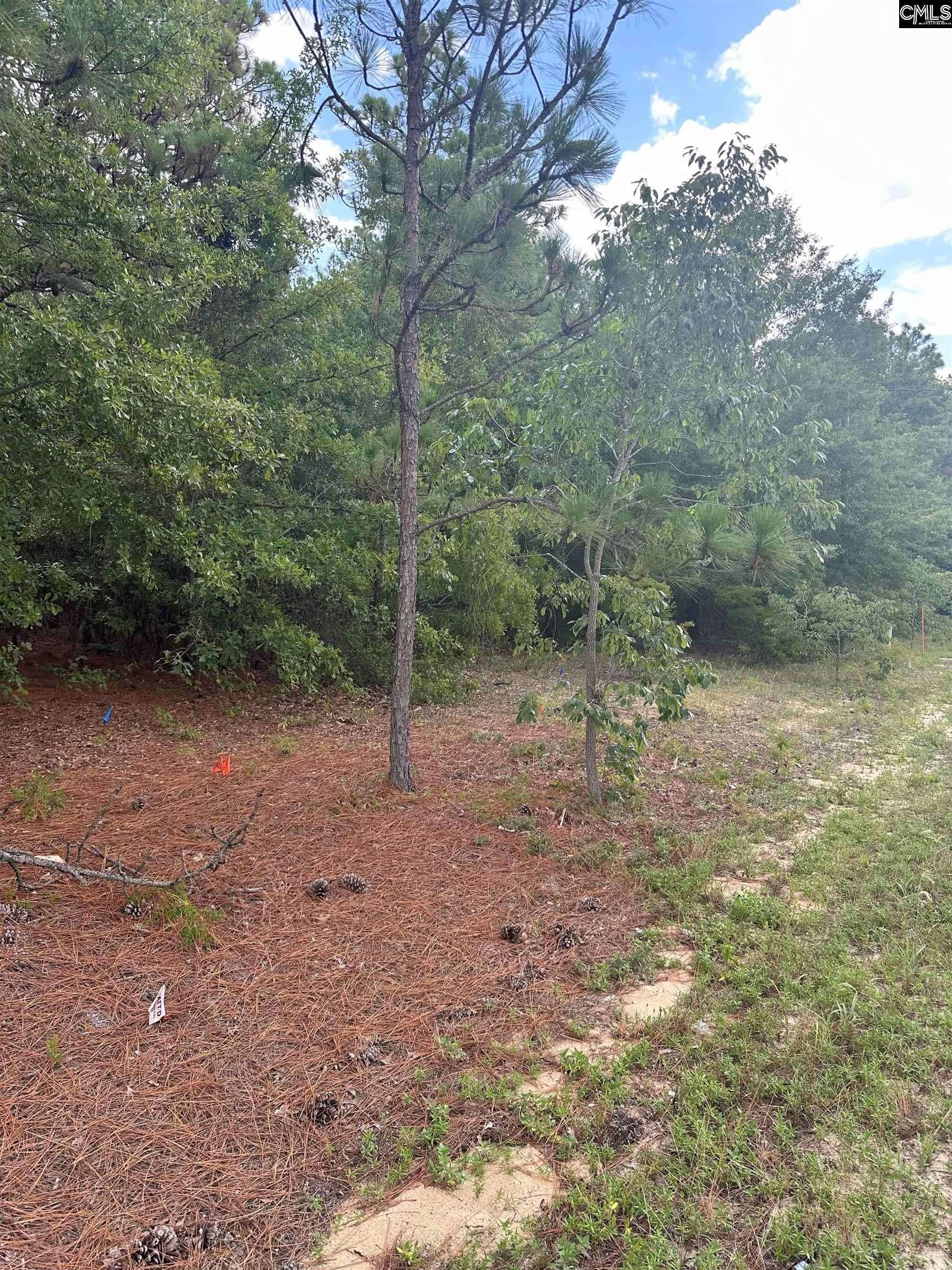 Lugoff, SC 29078,1148 Hwy1 South