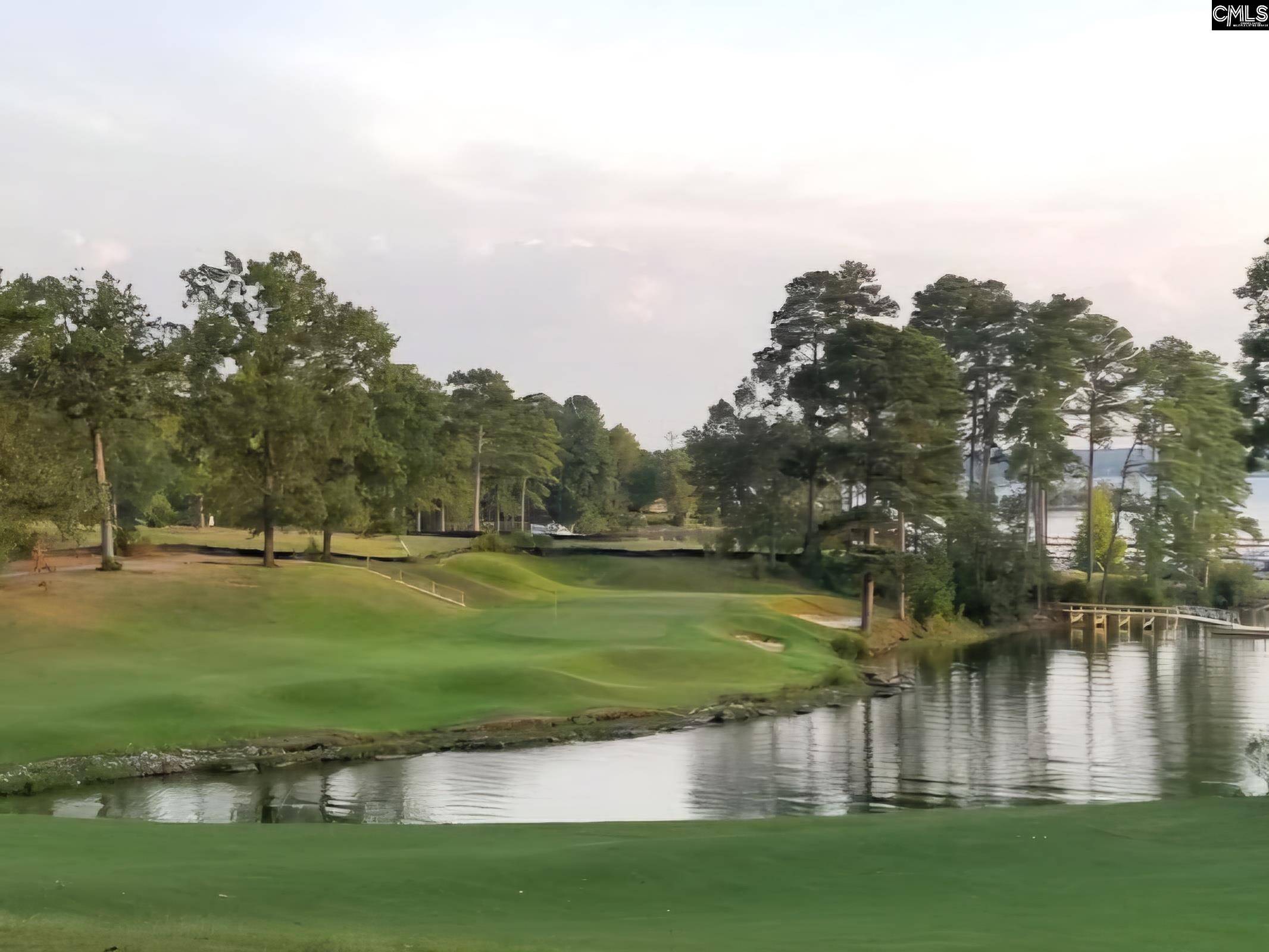 Chapin, SC 29036,520 Wateroak Trail #5