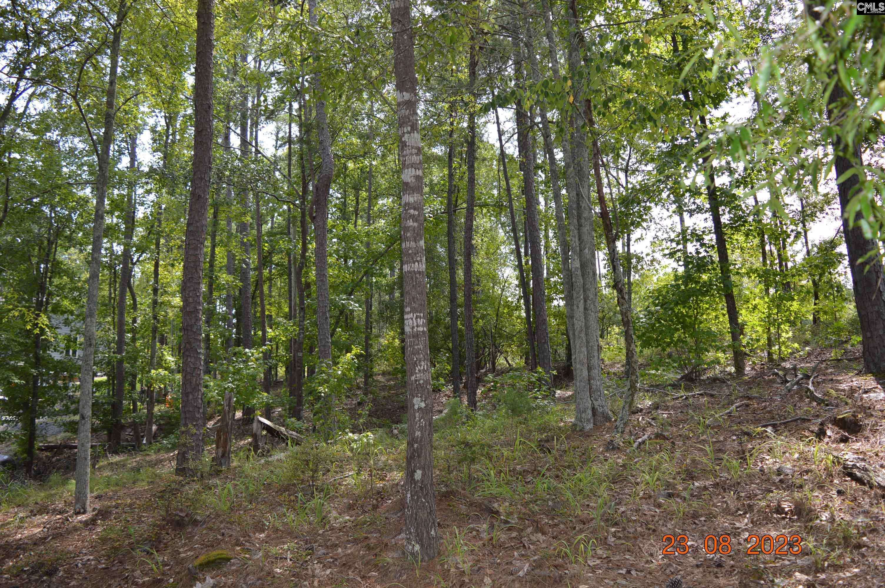 Ridgeway, SC 29130,995 Retreat Way W