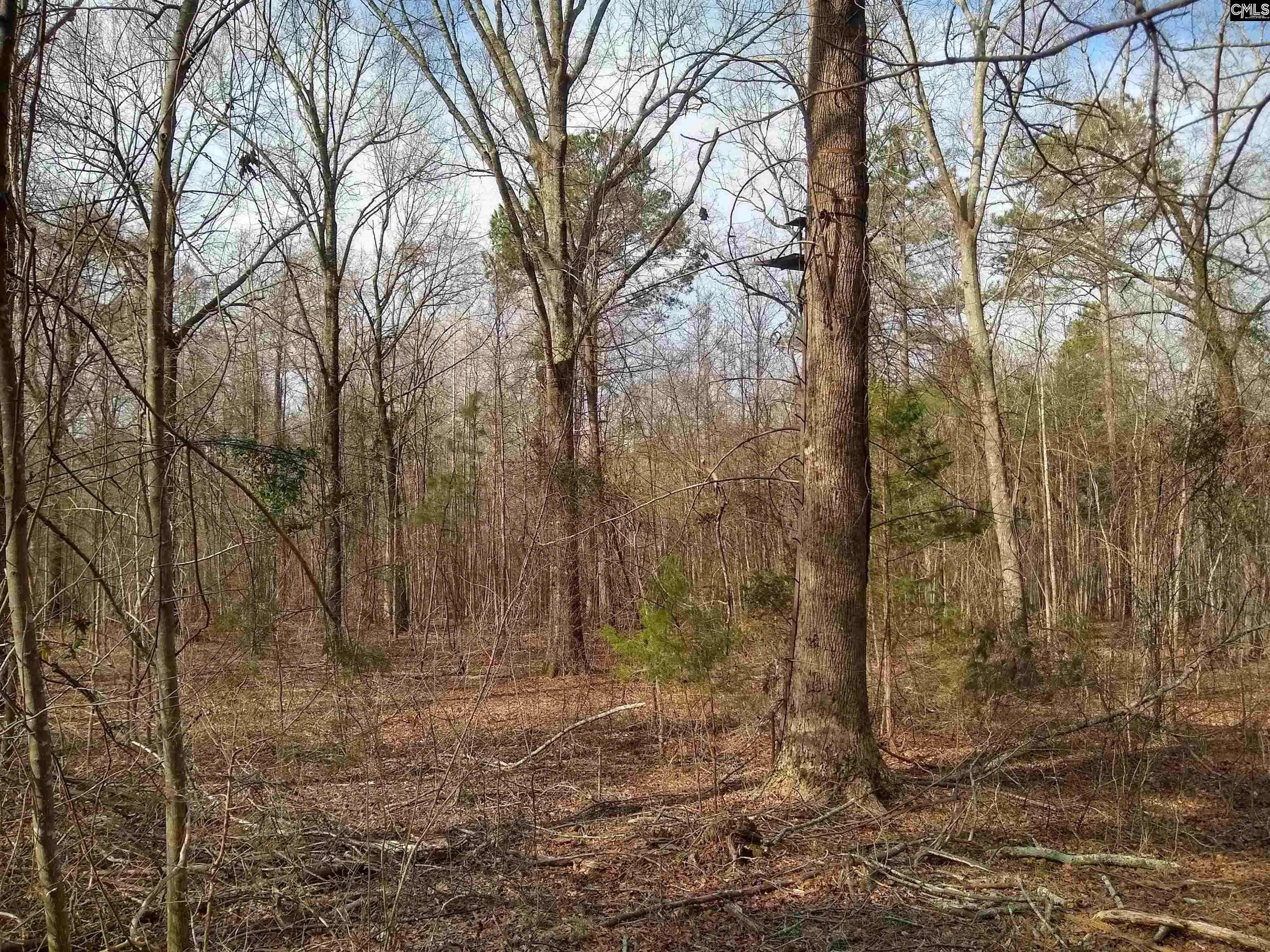 Winnsboro, SC 29180,0 321 Highway
