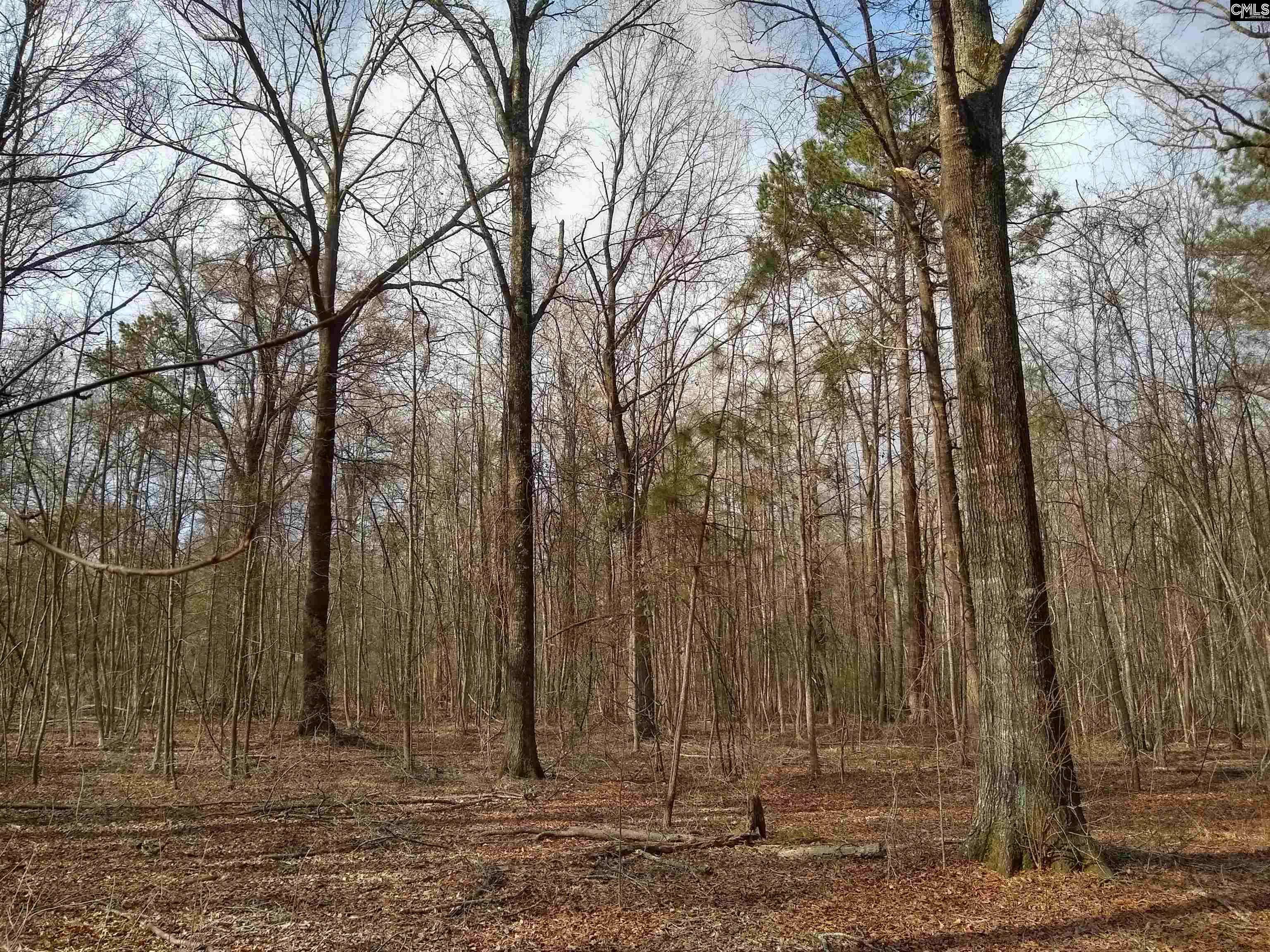 Winnsboro, SC 29180,0 321 Highway