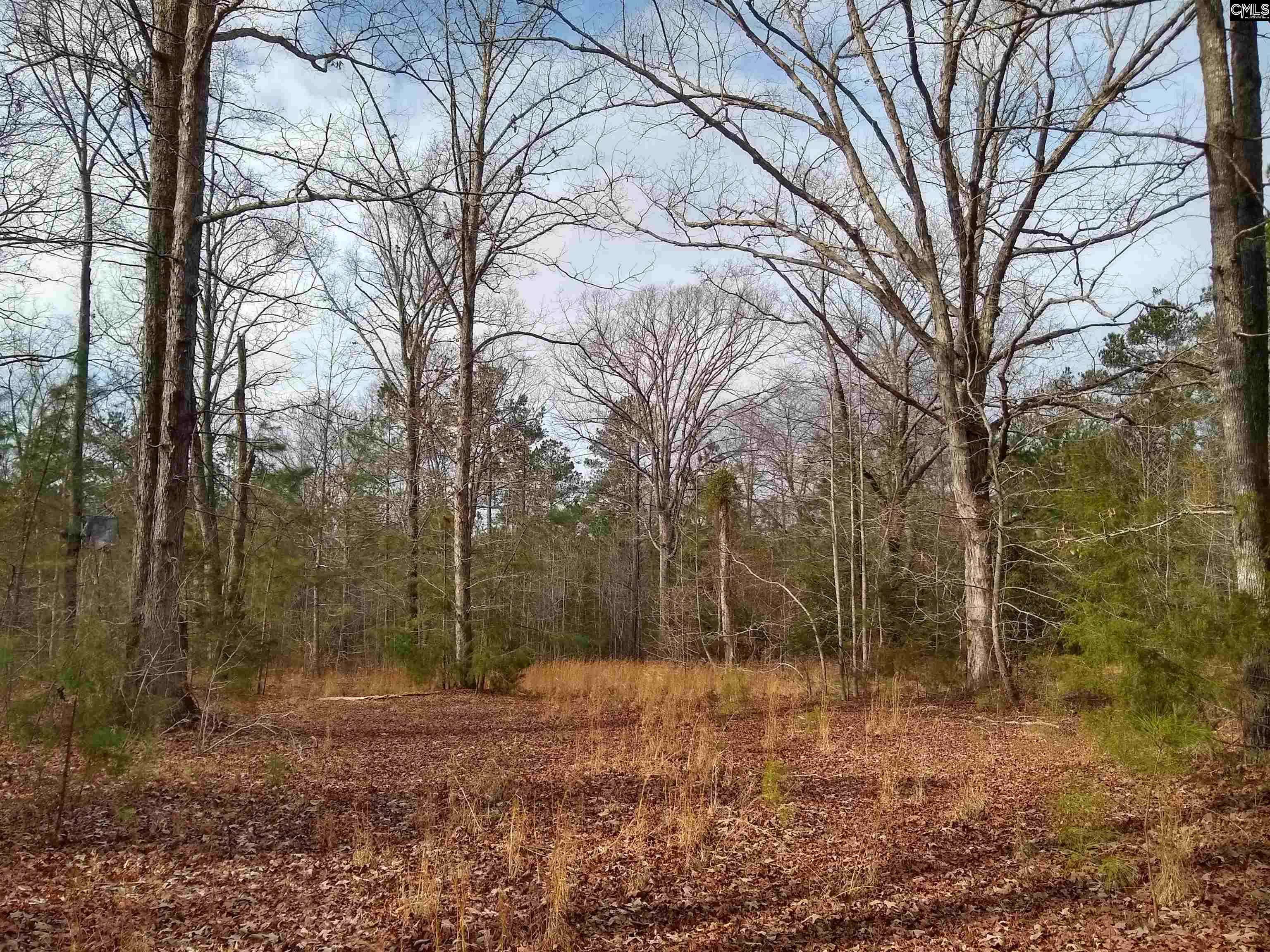 Winnsboro, SC 29180,0 321 Highway