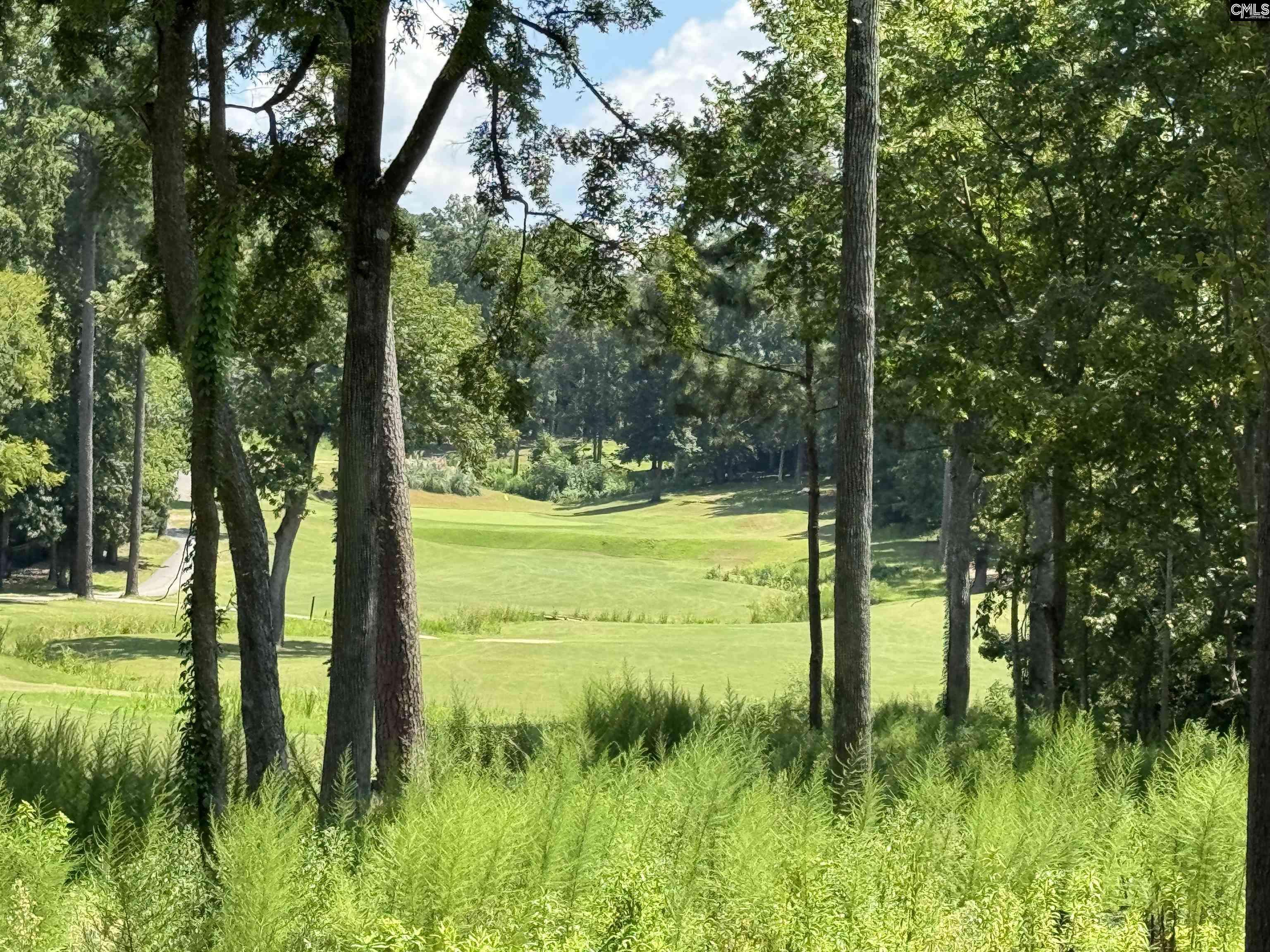 Chapin, SC 29036,1037 Refuge Place #25